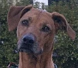 That Guy Is So Wrong, He Can't Get Any Wronger