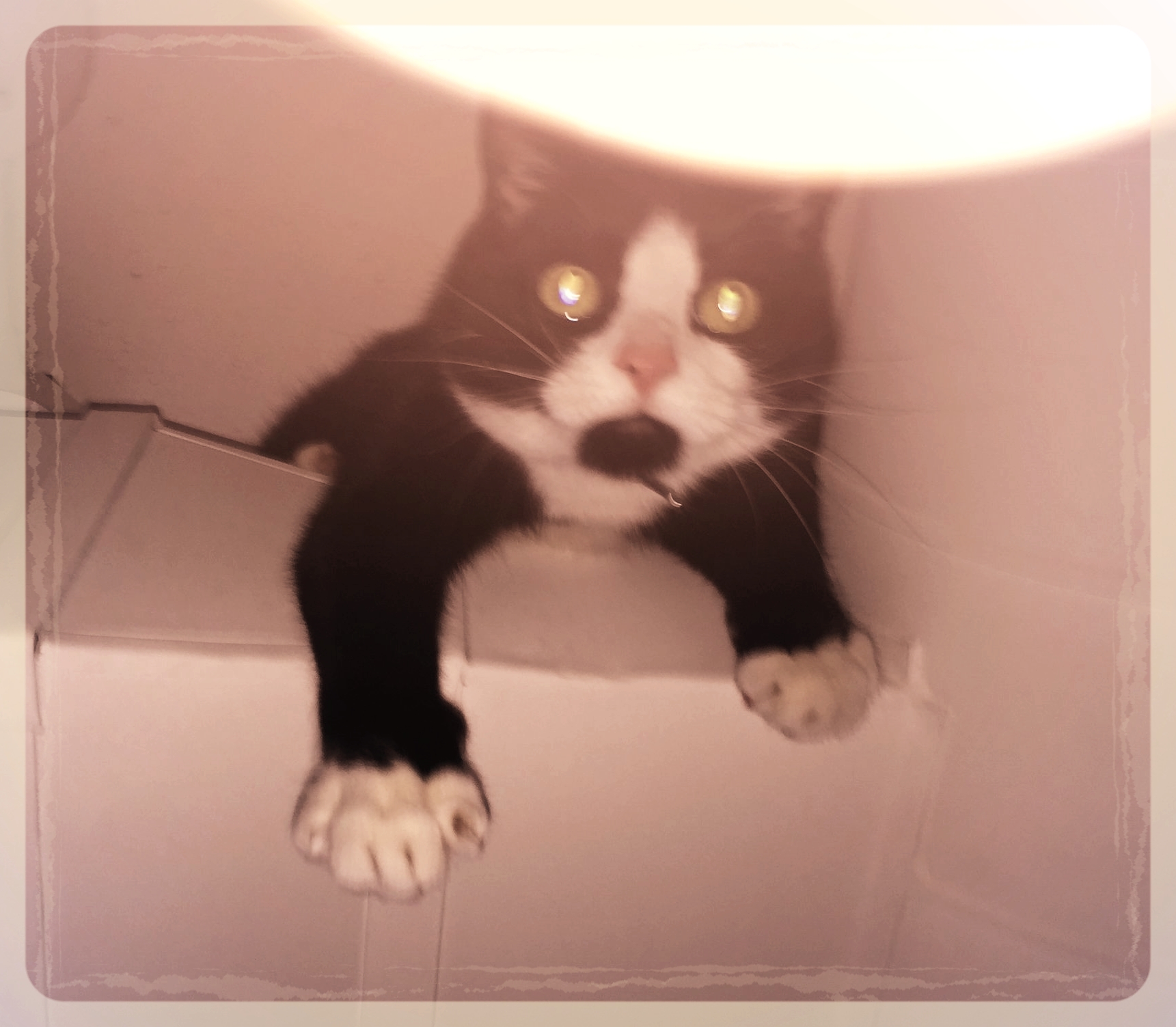 Don't Let Hiring Make You Crazy