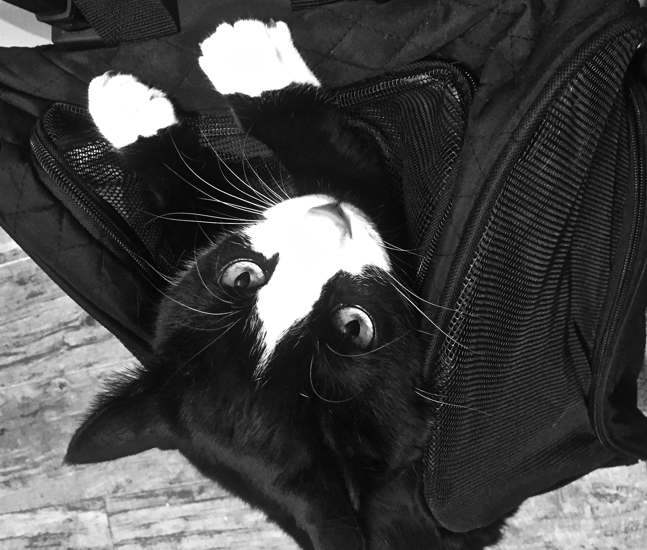 Sometimes Things Happen