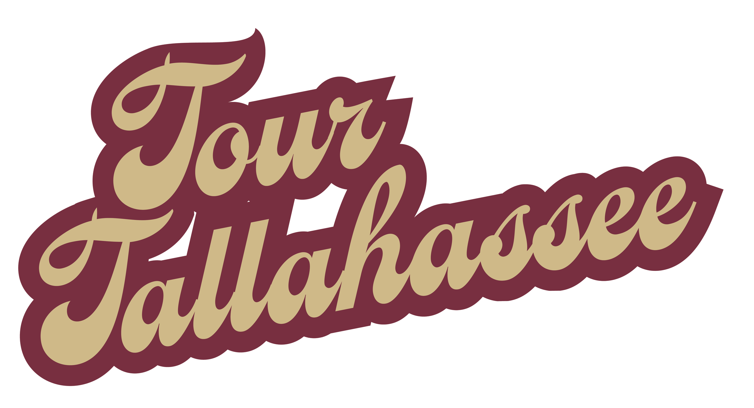 Tour Tallahassee - Social Media Stories campaign-02.png