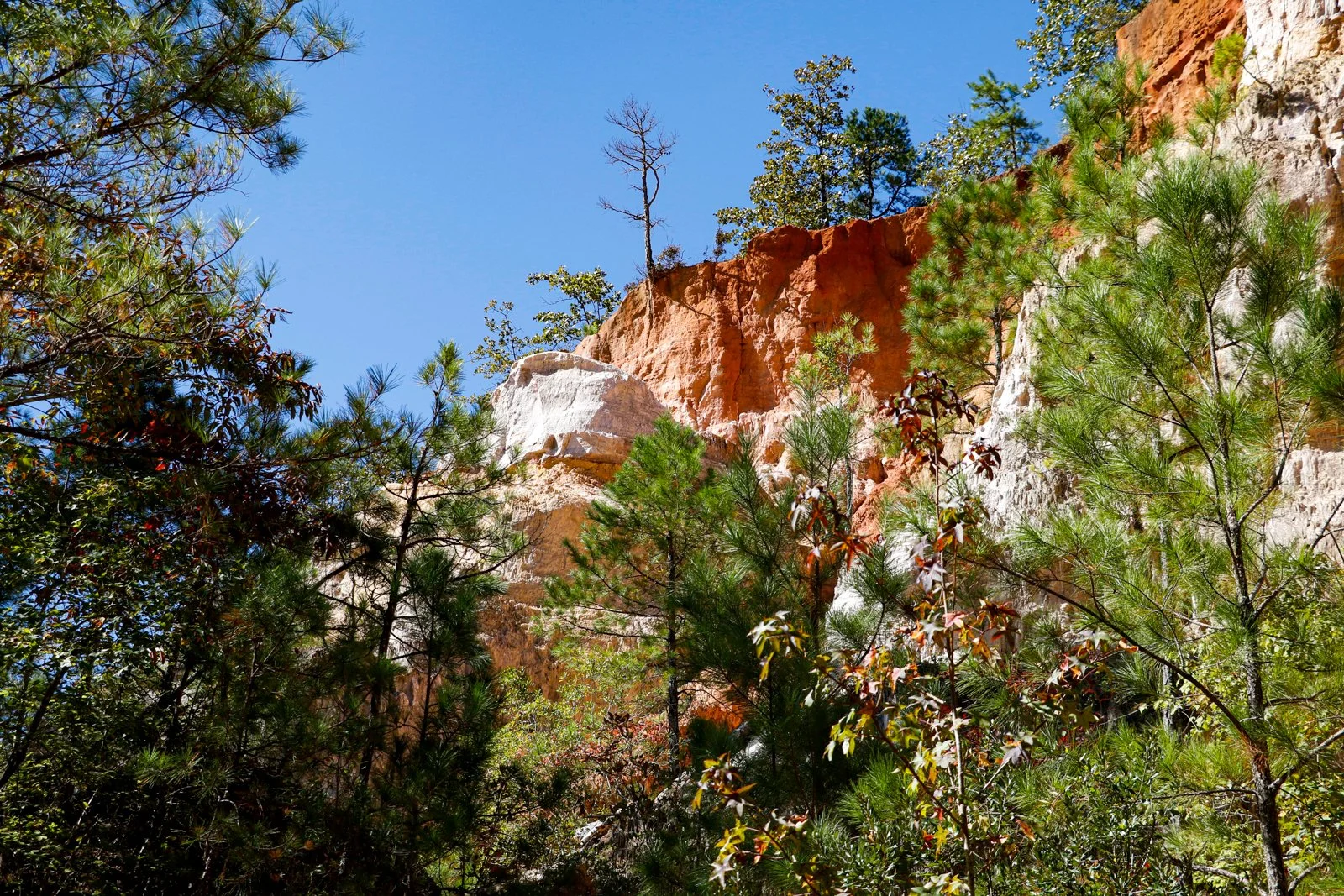 20.10.17.ProvidenceCanyon-03.jpg