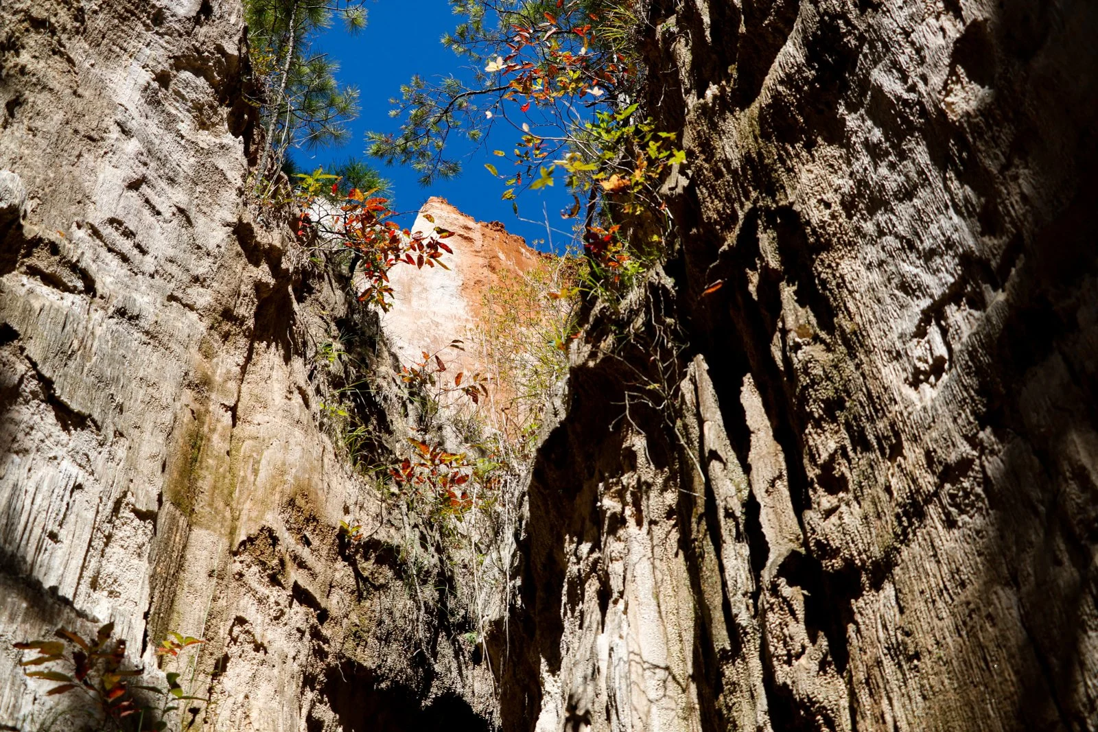20.10.17.ProvidenceCanyon-05.jpg