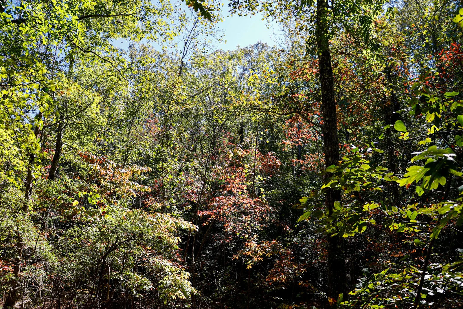 20.10.17.ProvidenceCanyon-18.jpg