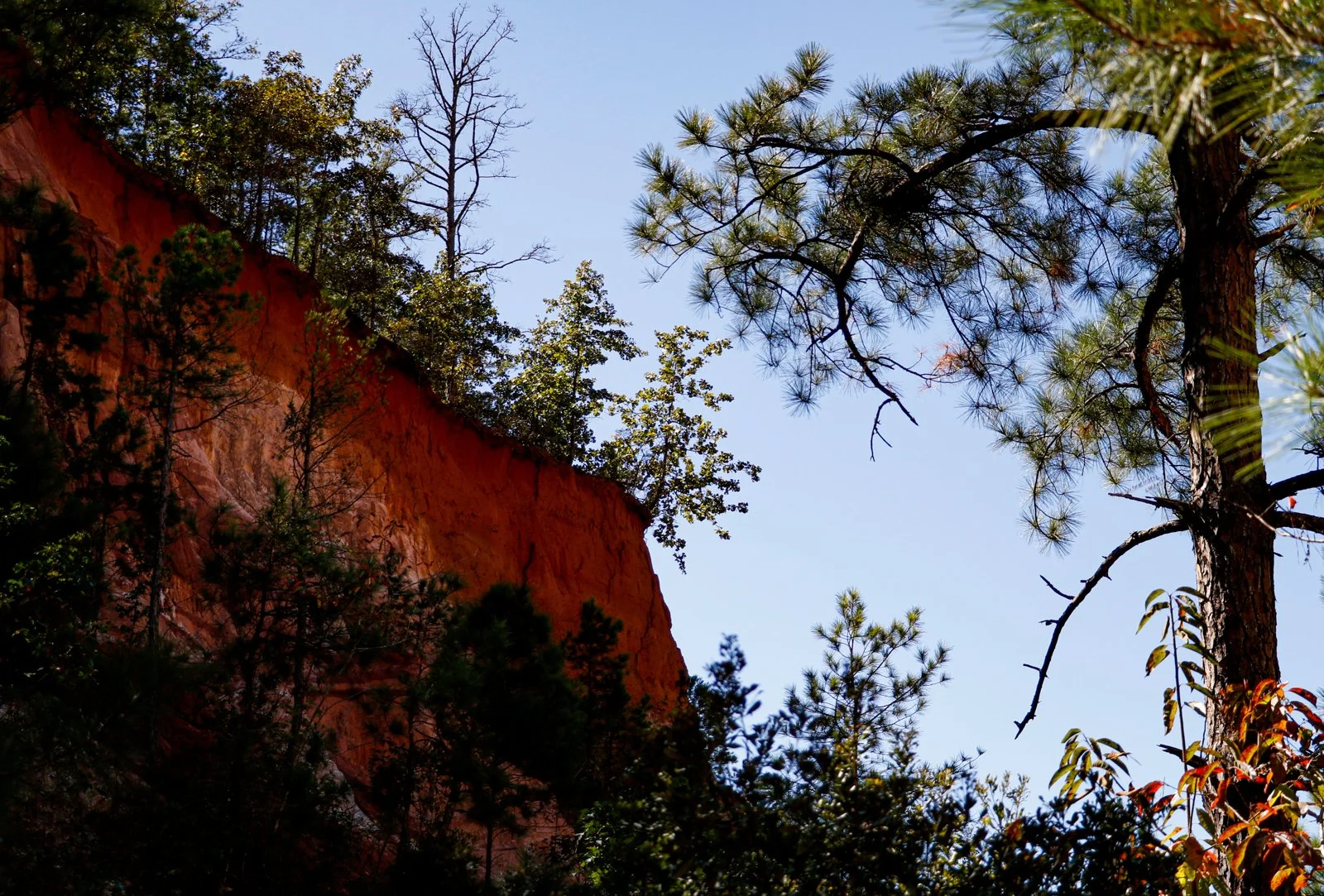 20.10.17.ProvidenceCanyon-09.jpg