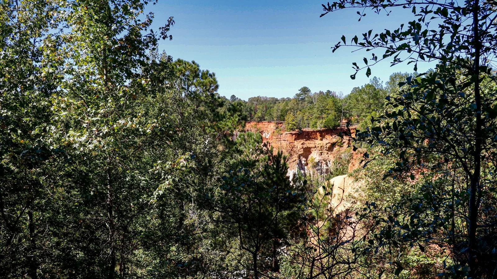 20.10.17.ProvidenceCanyon-25.jpg