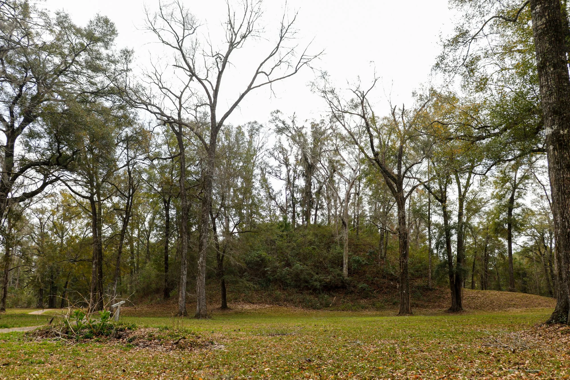 The Letchworth-Love Temple mound complex.