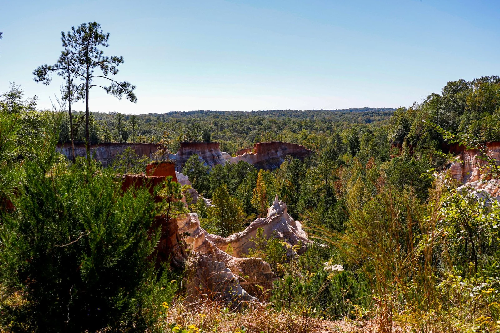 20.10.17.ProvidenceCanyon-28.jpg
