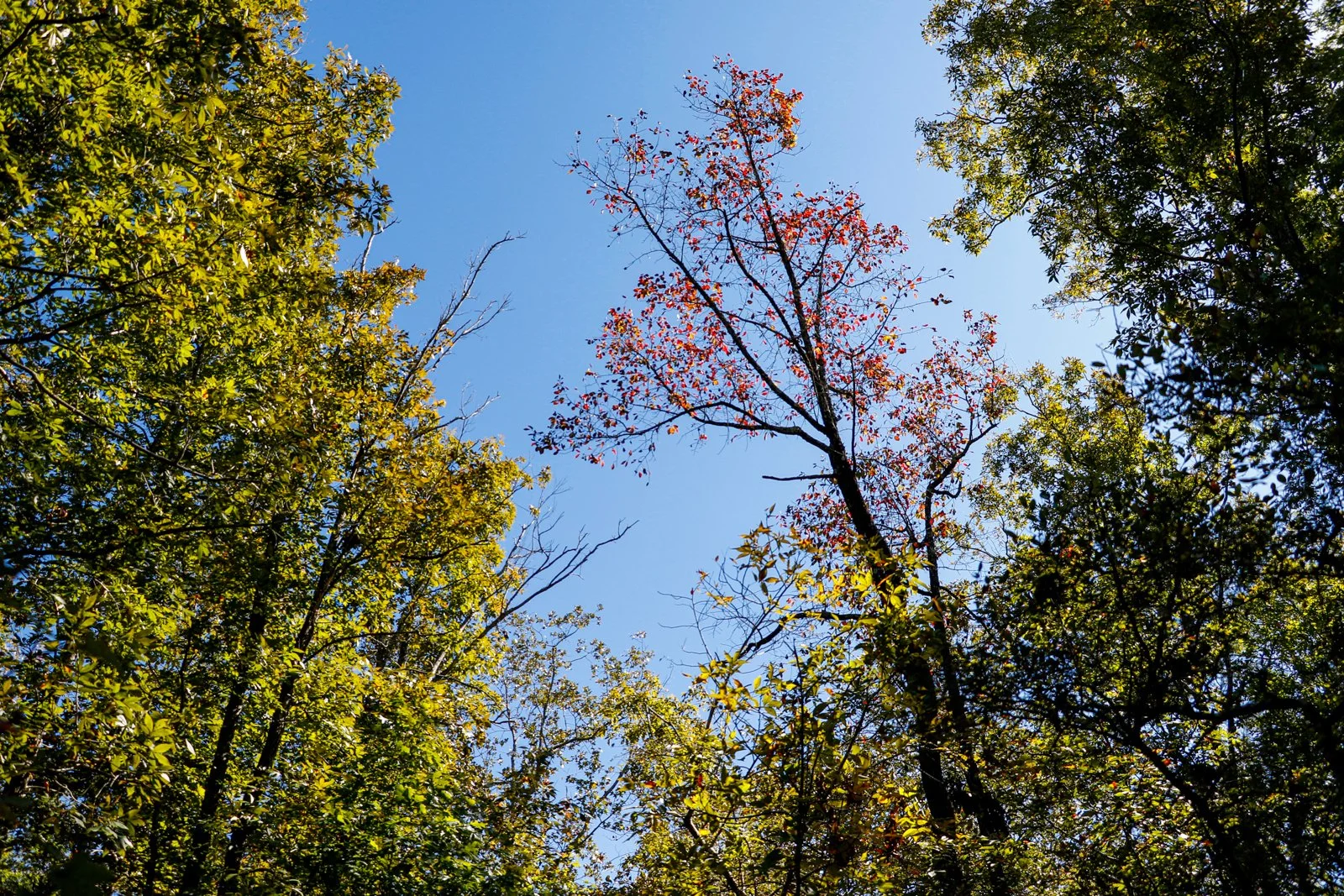 20.10.17.ProvidenceCanyon-22.jpg
