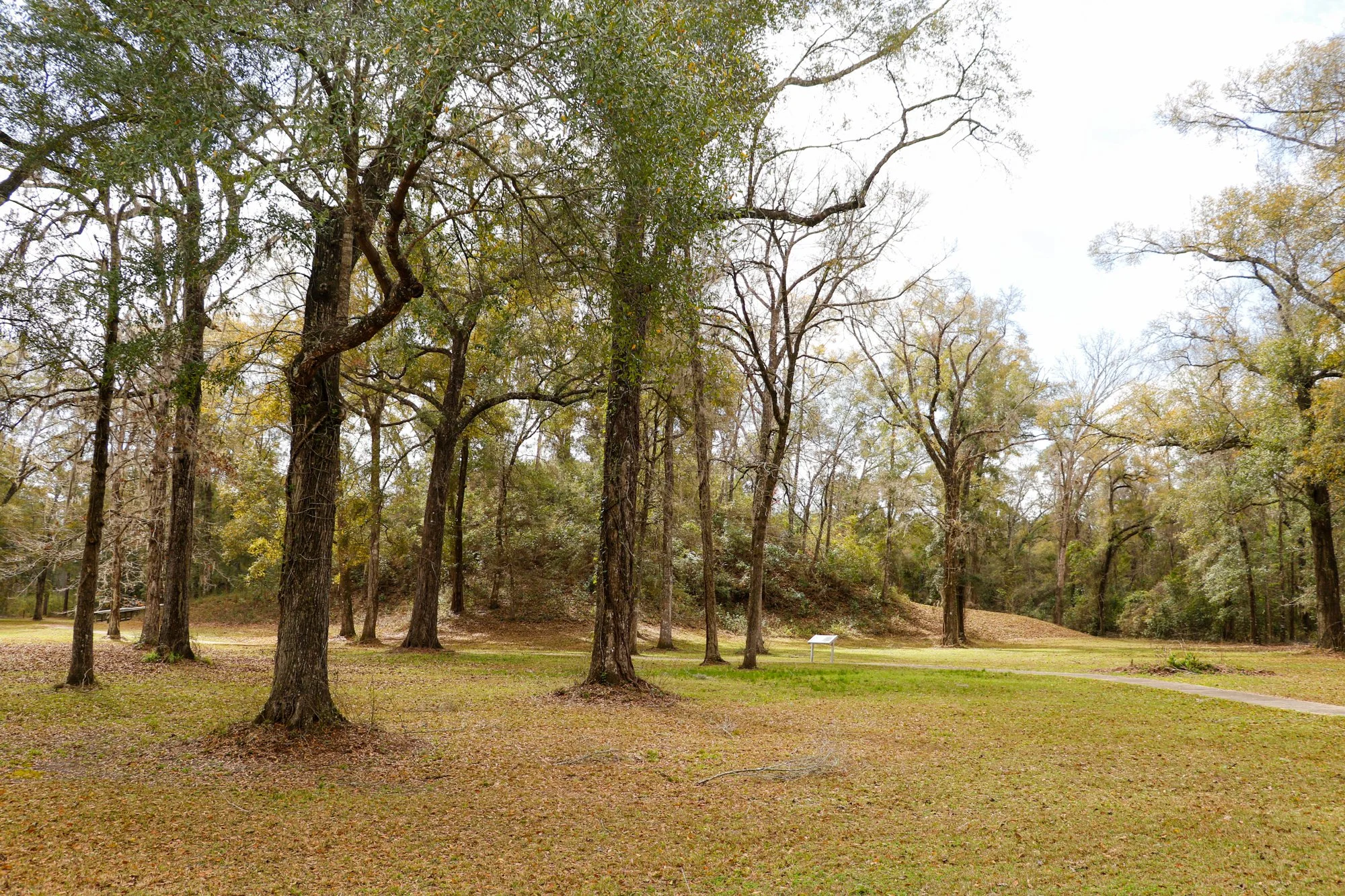 The Letchworth-Love Temple mound complex.