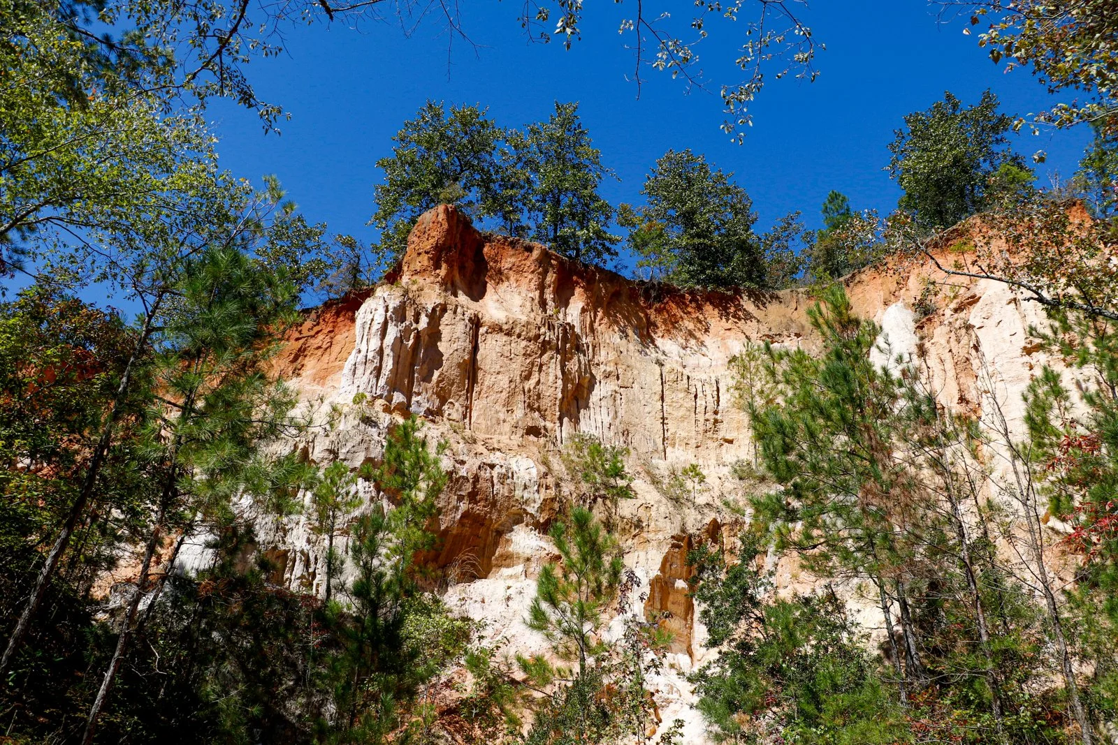20.10.17.ProvidenceCanyon-02.jpg