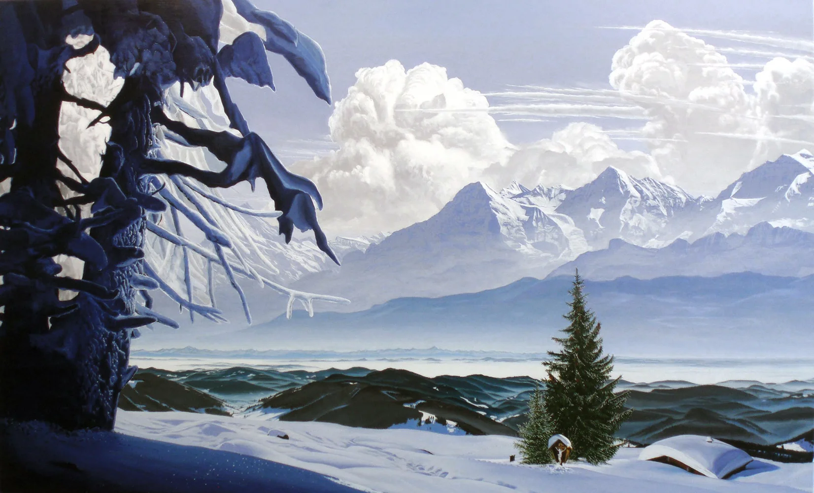 Black Forest Vistas