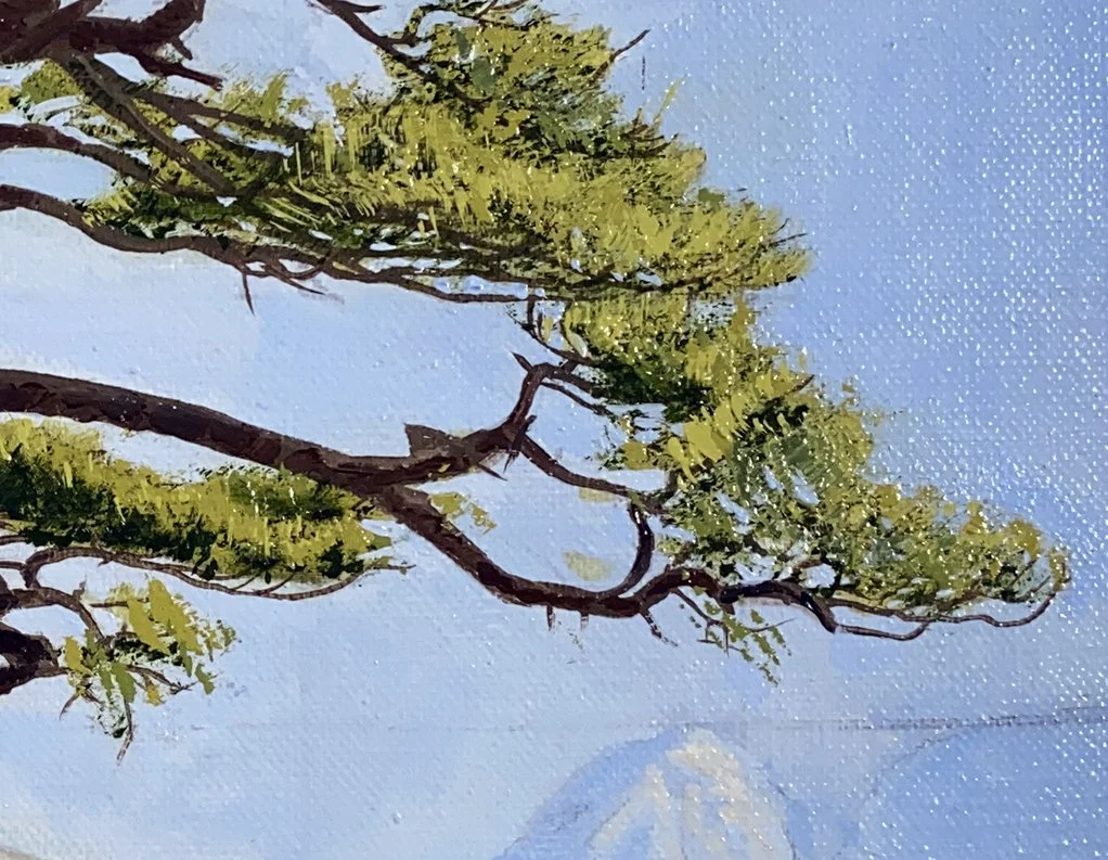 pinus-HR3.jpg