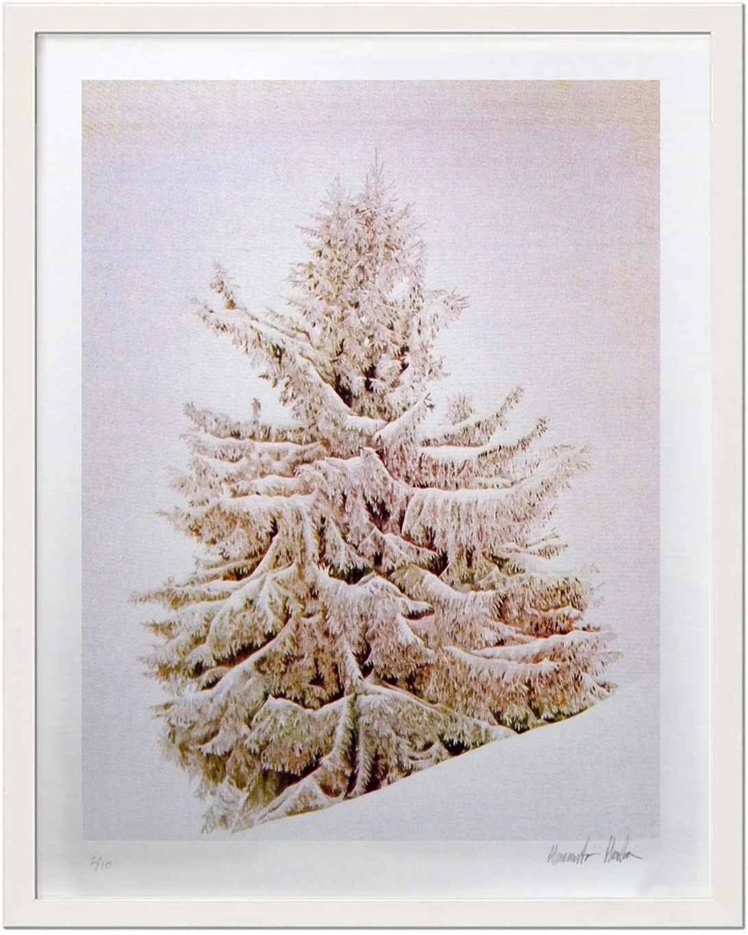 framed-tree.jpg
