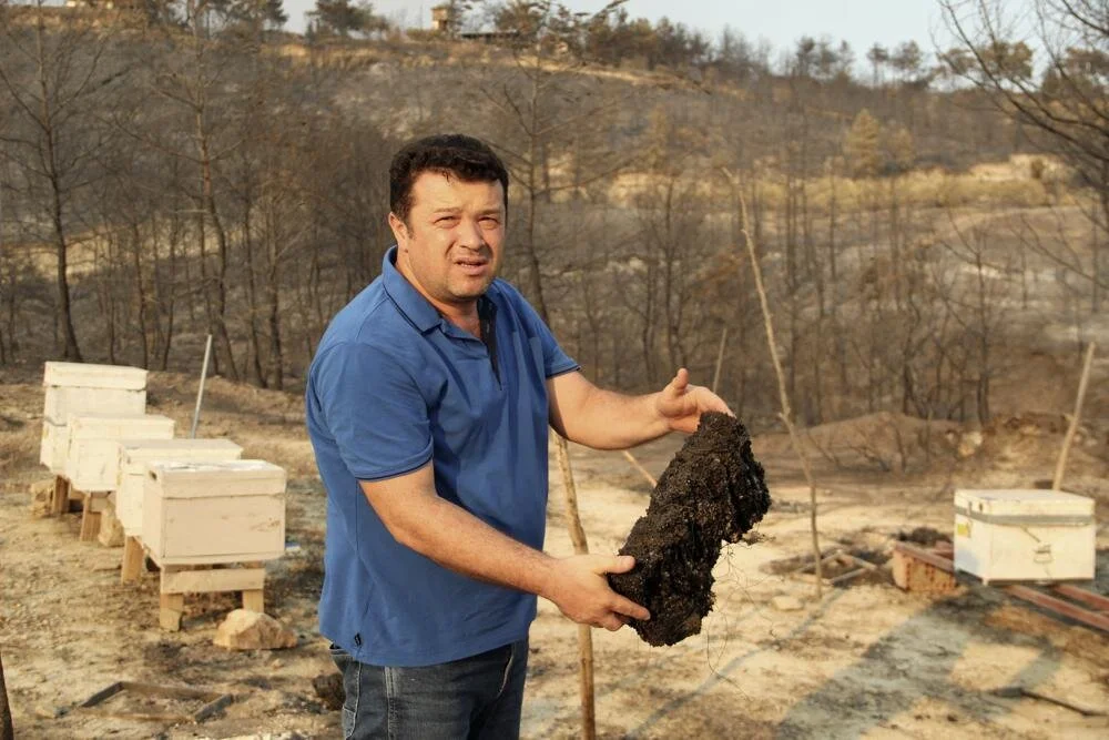Devastated by wildfires, Turkey’s beekeepers see grim future
