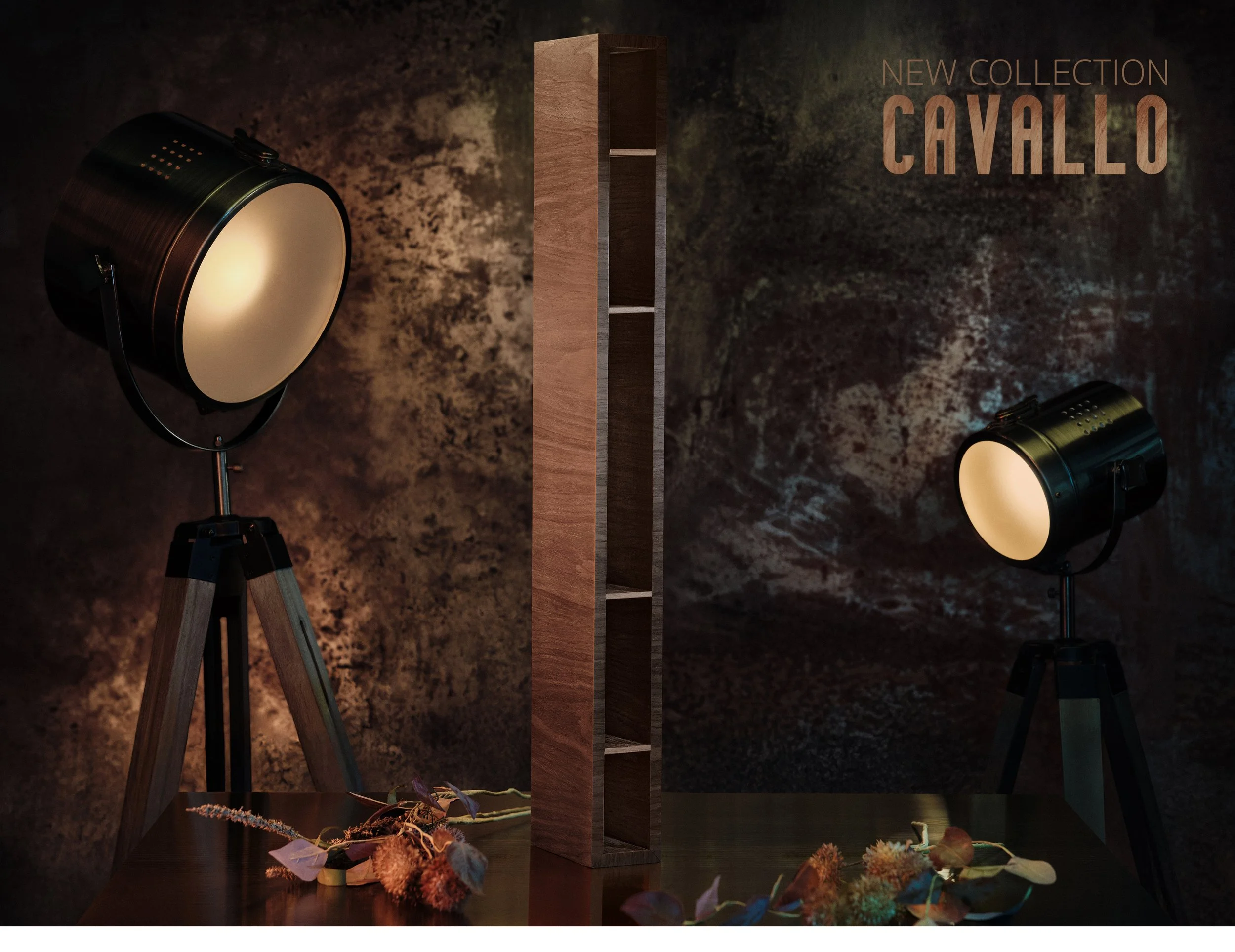 2 CAVALLO.jpg