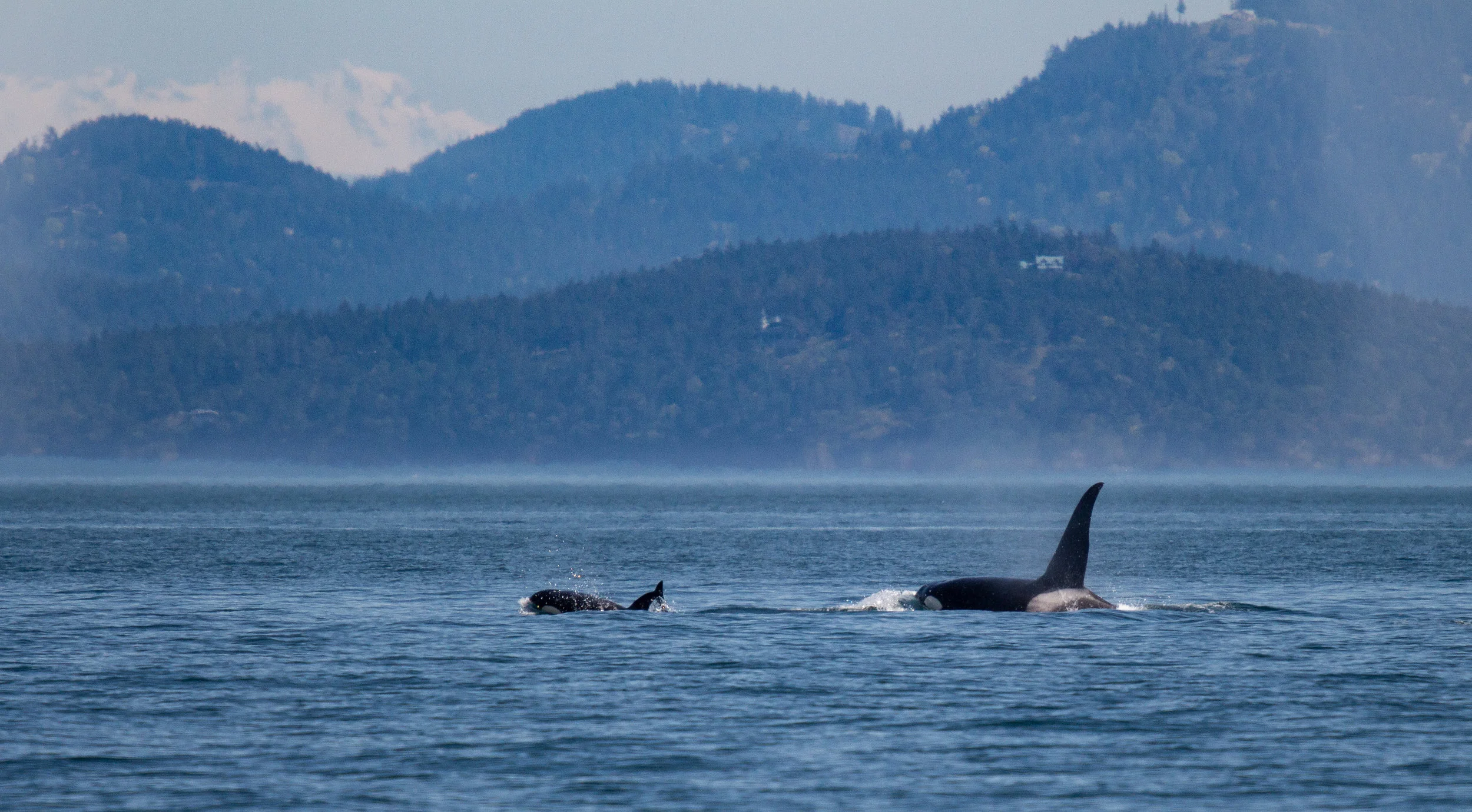 #westcoastbestcoast ... Photo by Natalie Reichenbacher