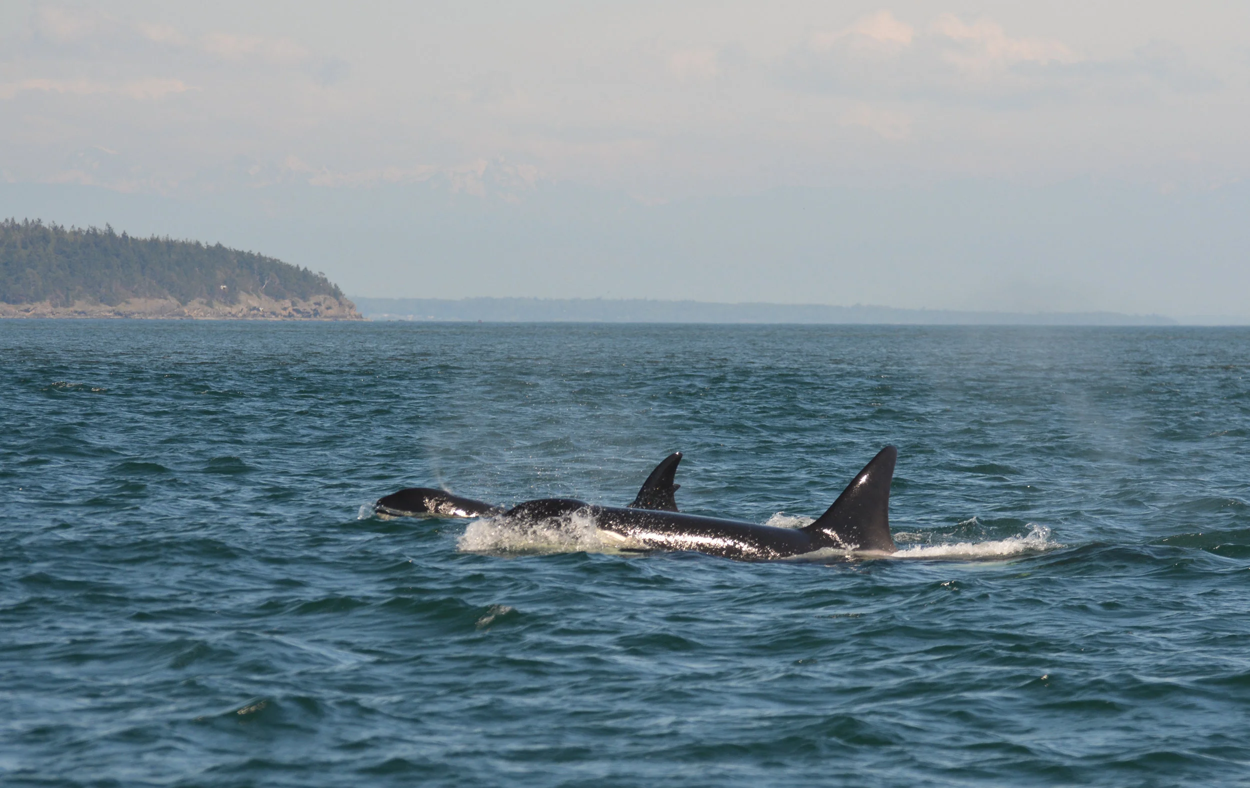 DSC_0120-2.jpg