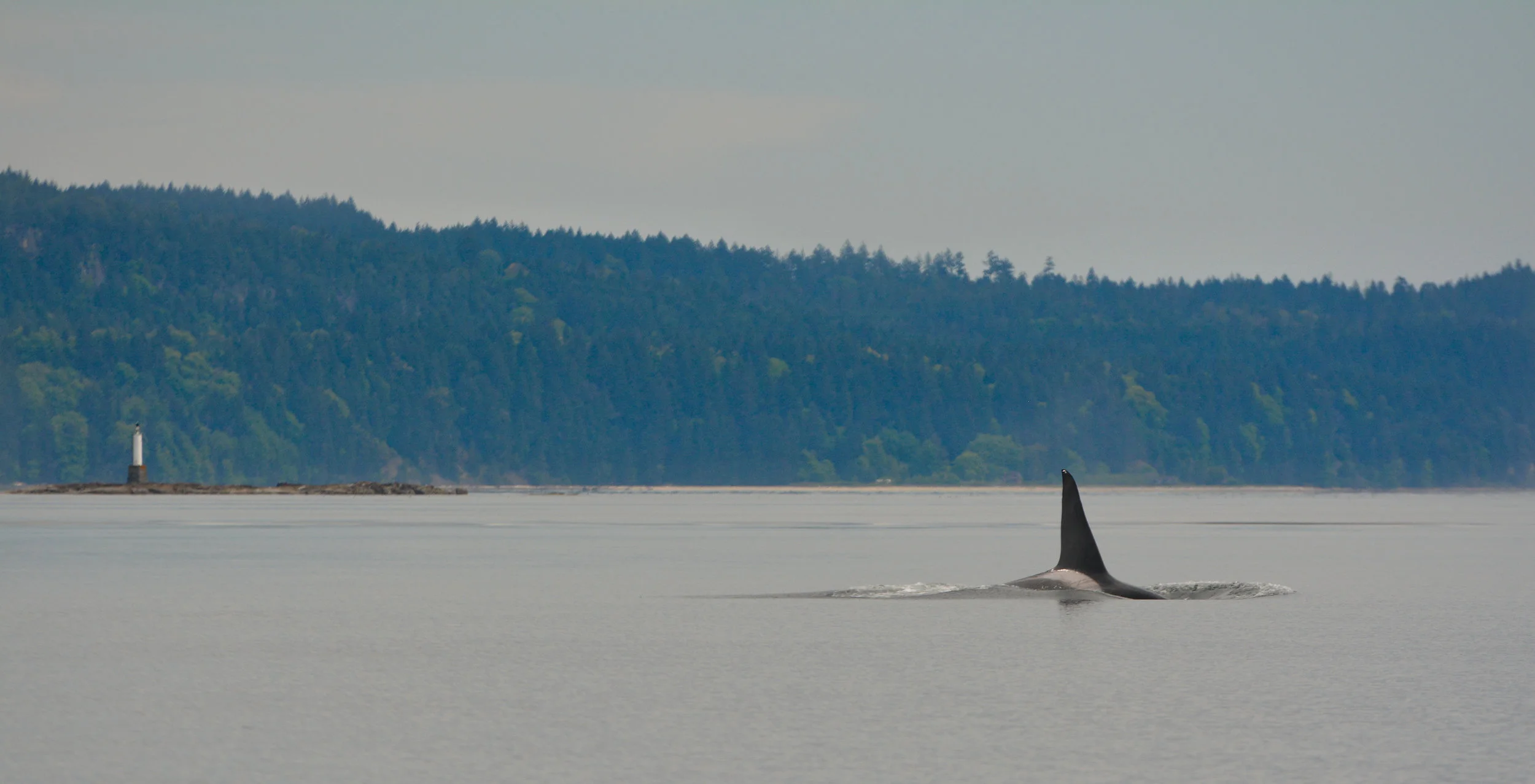 Brotehr T19C 'Spouter' cruising next to an islet in the Gulf Islands. Photo by Alanna Vivani
