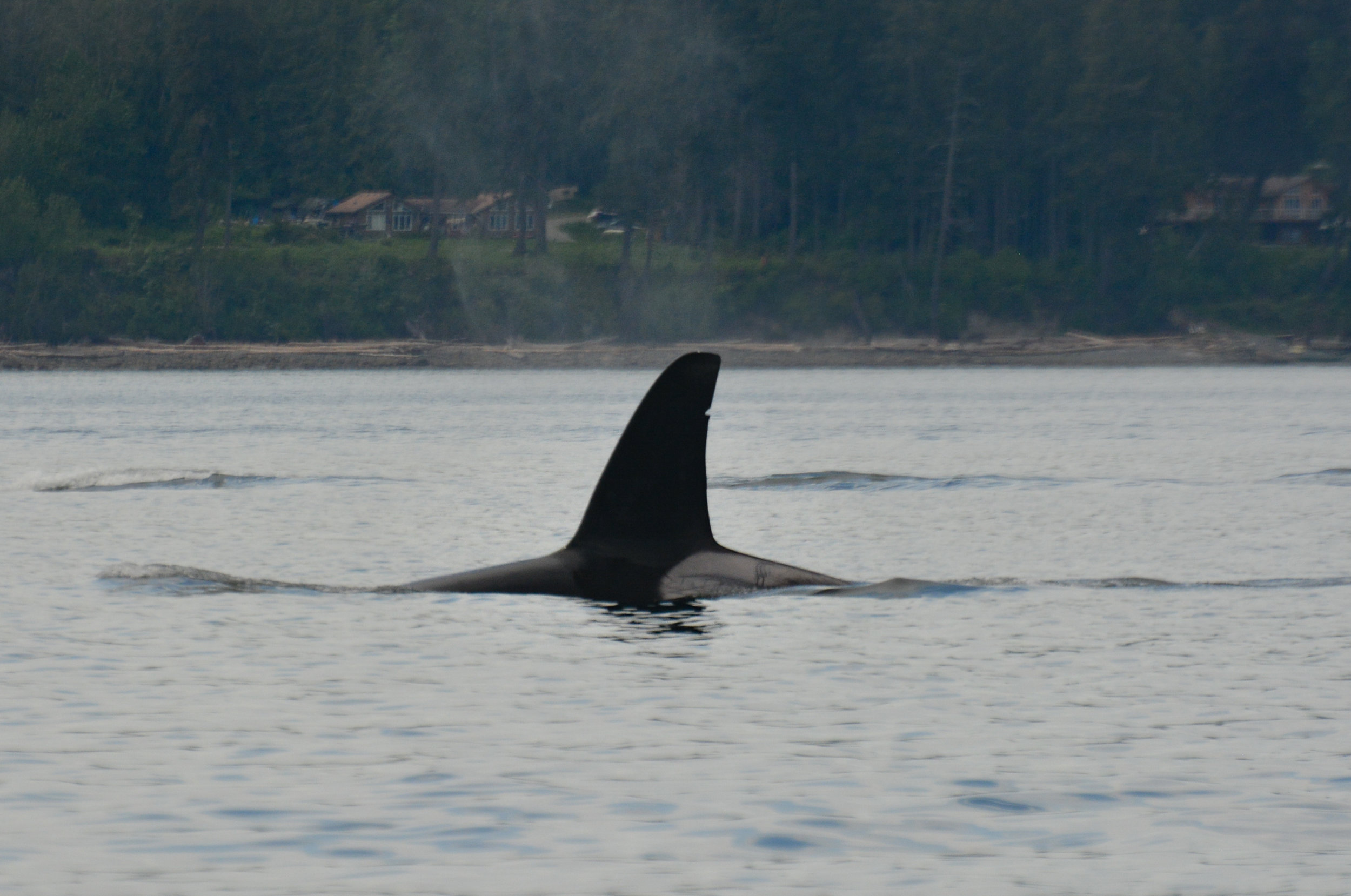May 8, 2018 - T18's in Stuart Channel