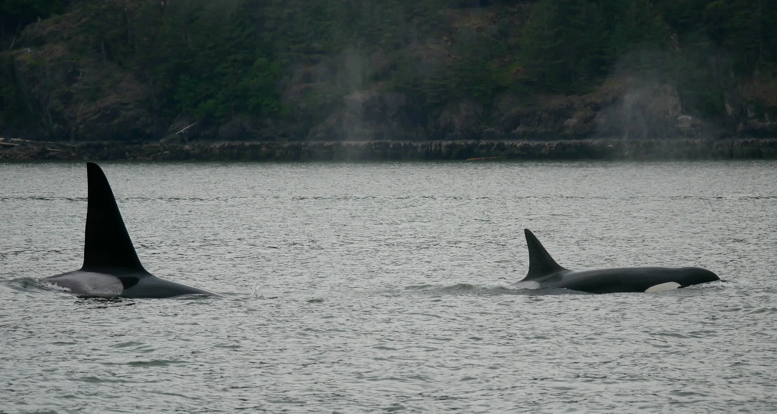 Son Beardslee was born in 1984 and his mother Reef was born in 1973. Photo by Rodrigo Menezes.