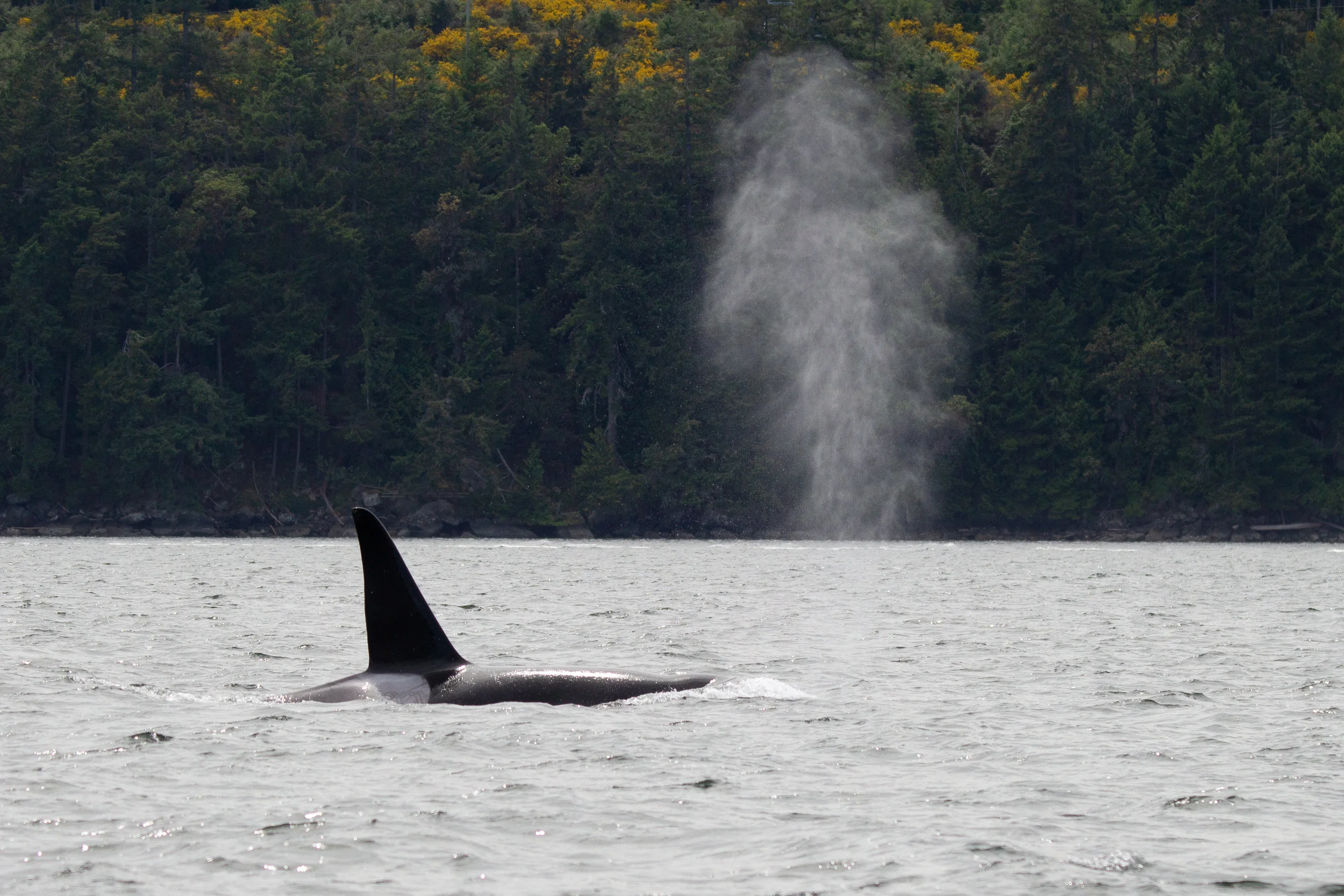 A big exhale after a long, deep dive. Photo by Natalie Reichenbacher