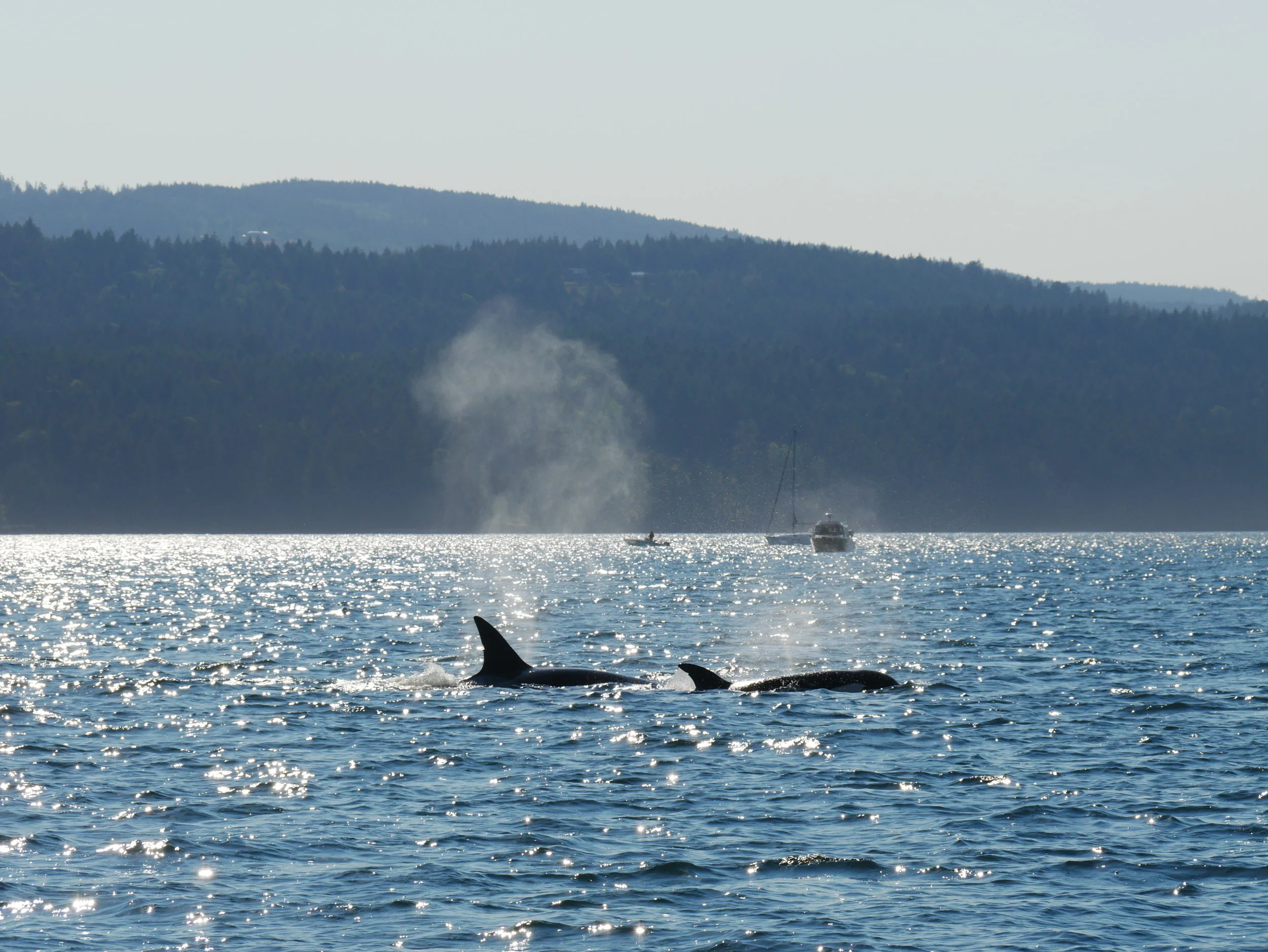 June 19, 2018 - An exciting trip with the T137's