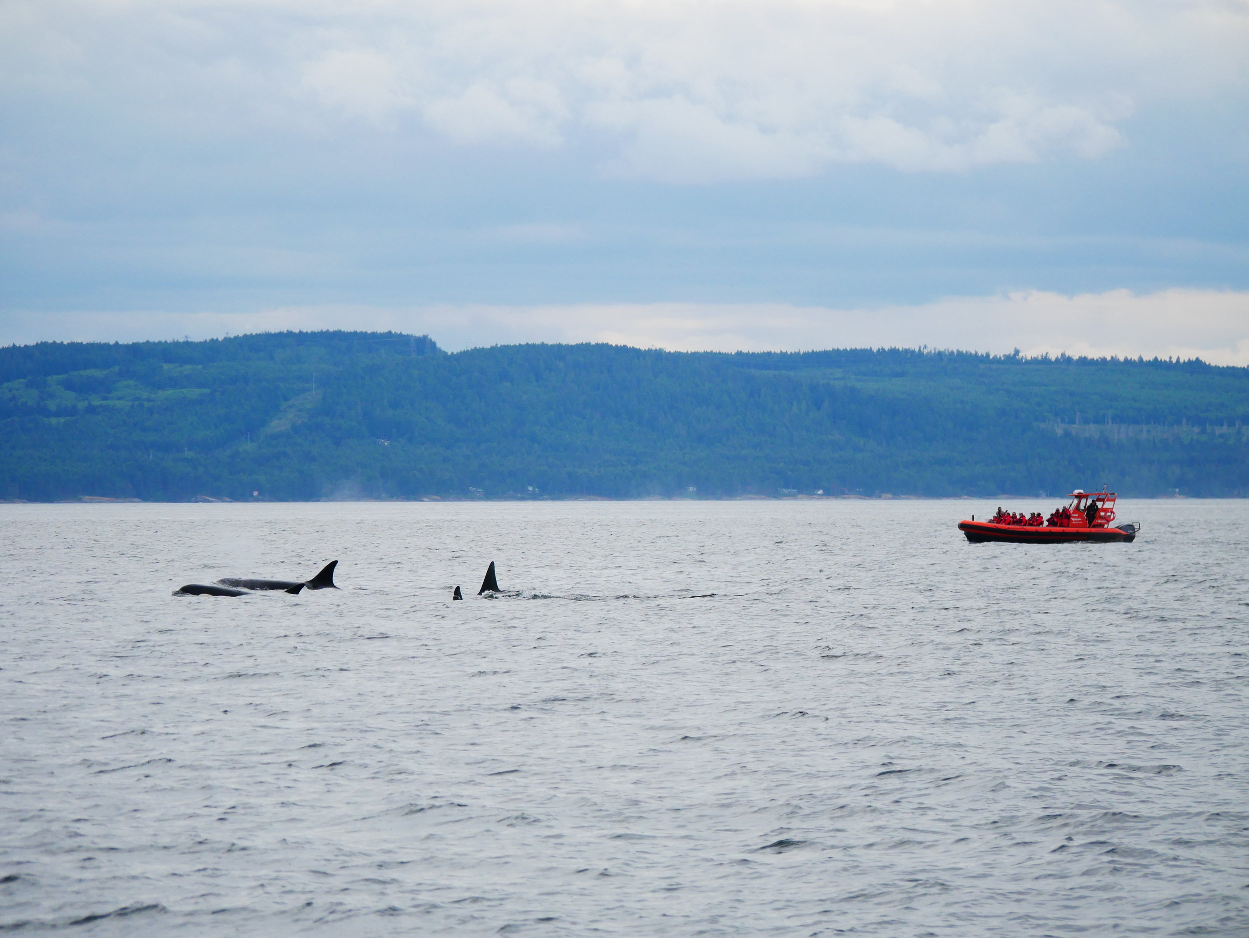 June 22, 2018 - Total T Party in the Strait of Georgia!