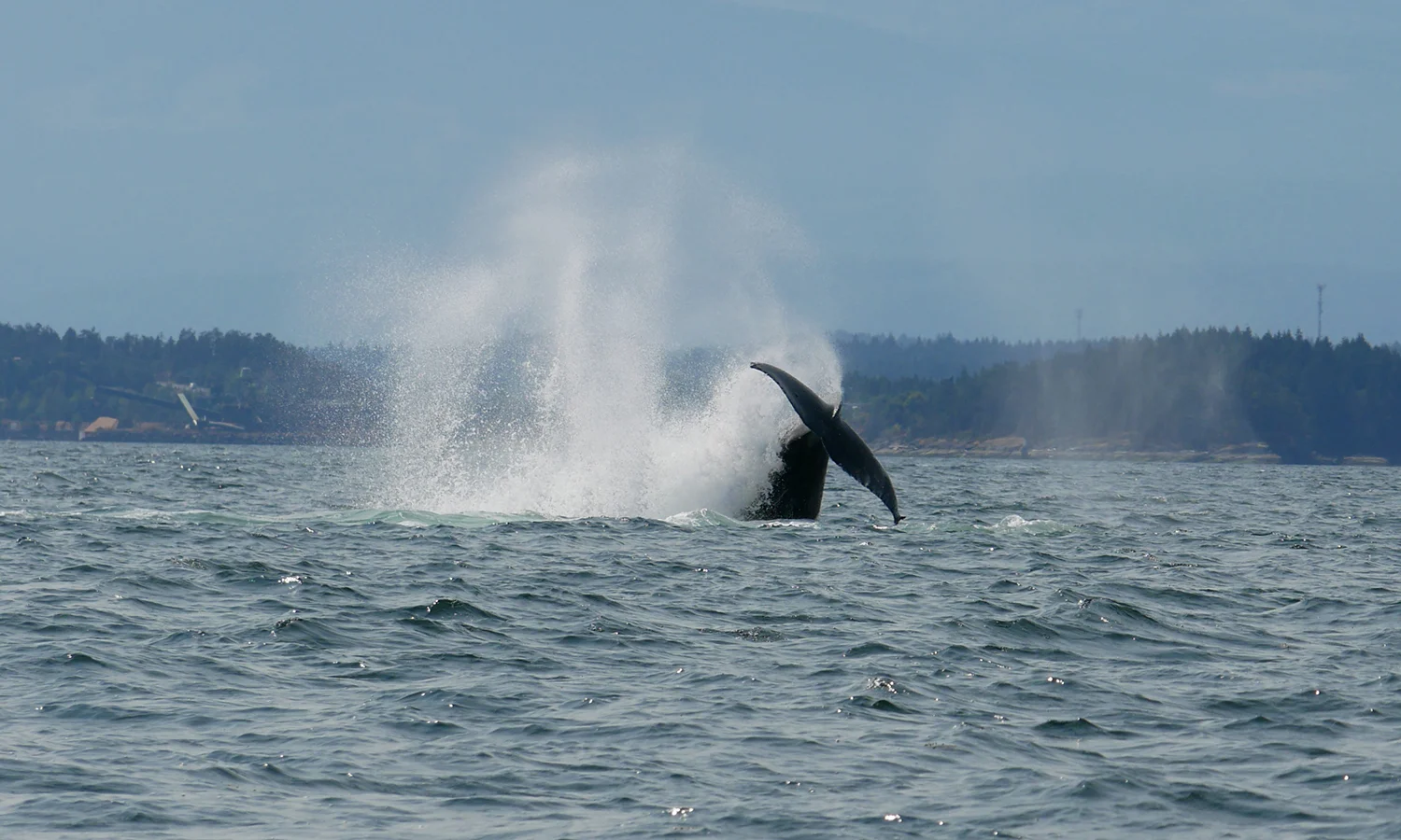 Cartwheel! Check out that splash! Photo by Rodrigo Menezes.