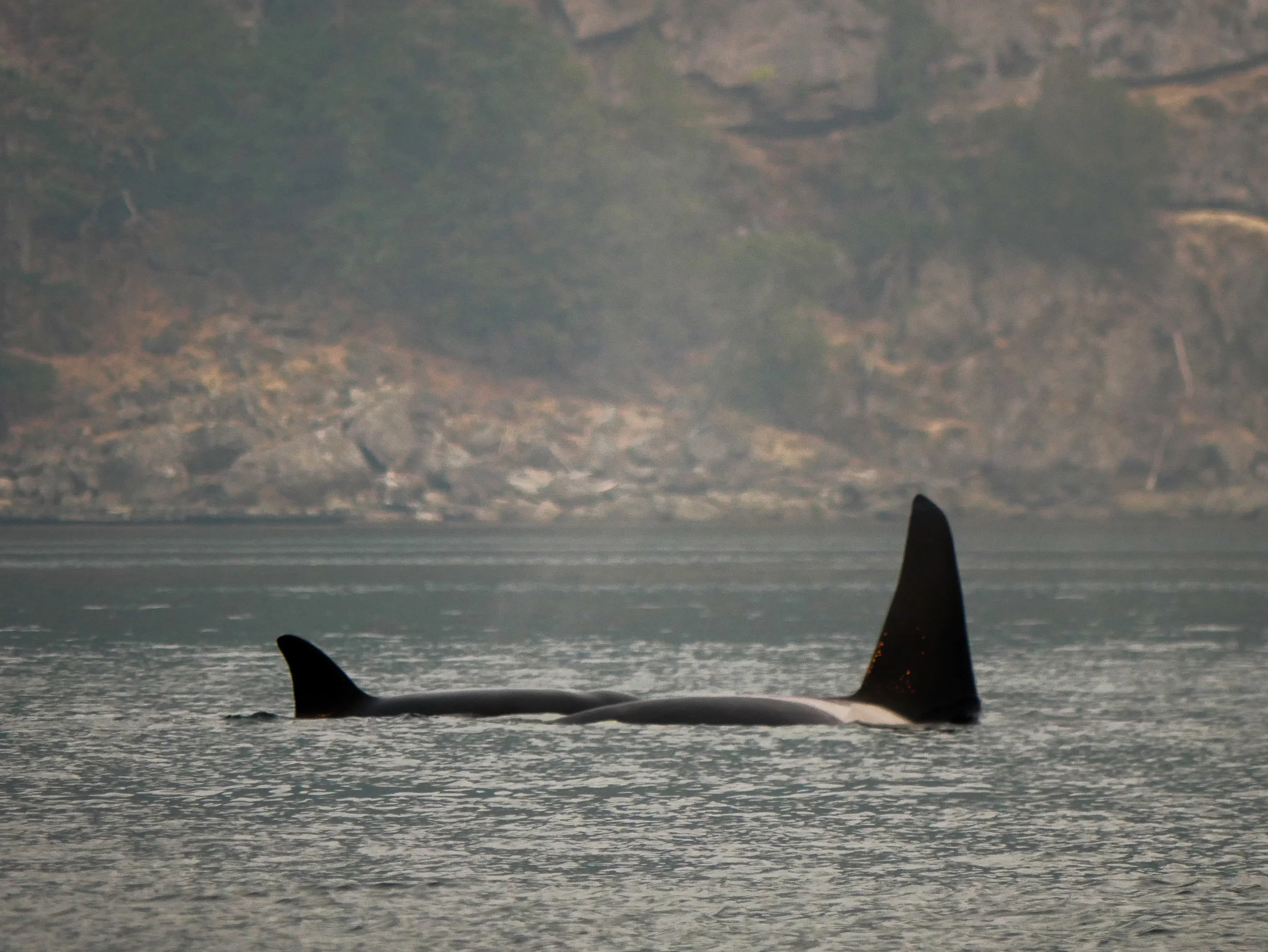 Another surface by the pod. Photo by Val Watson.