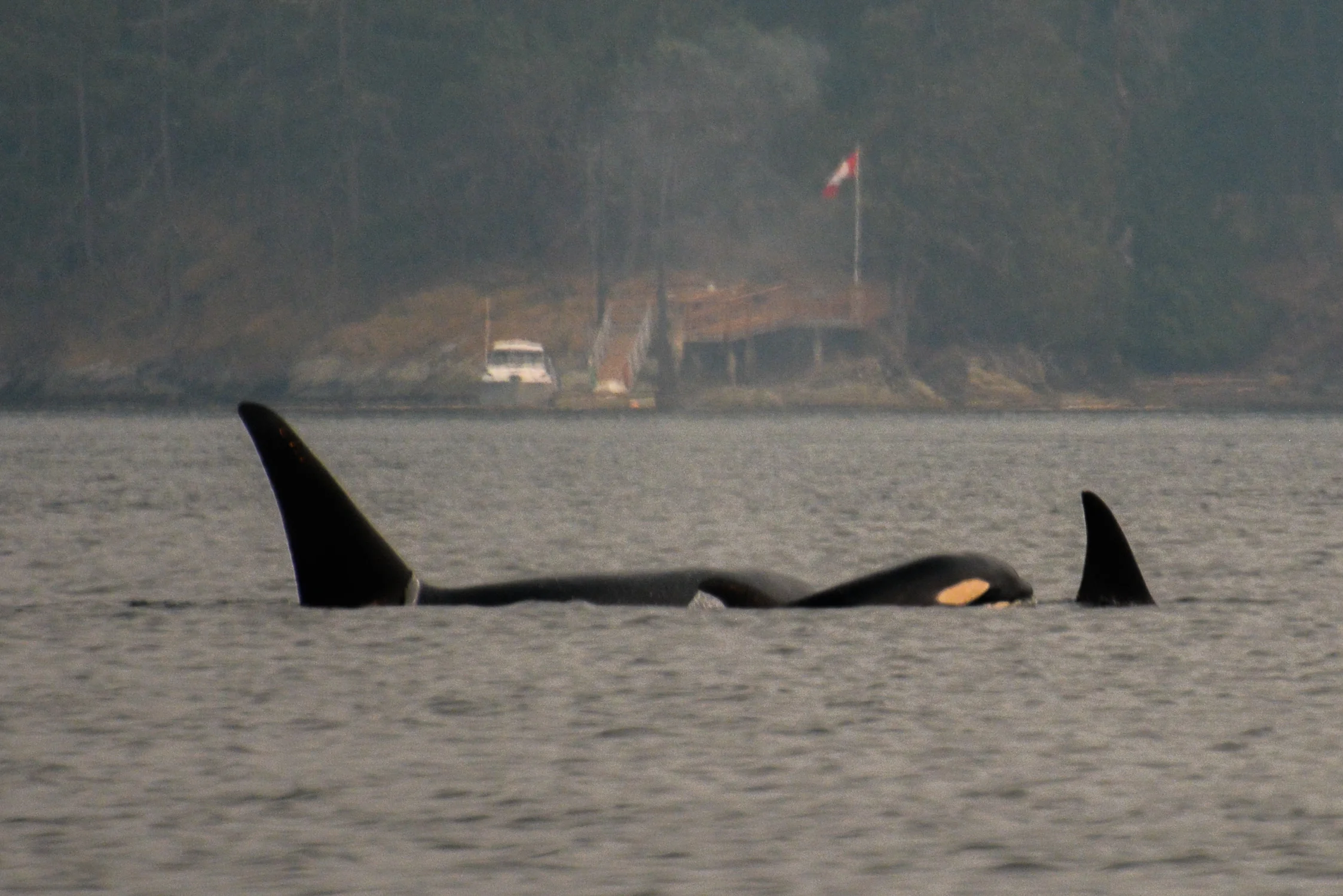 August 19, 2018 - T2C Family visits Saturna Island!