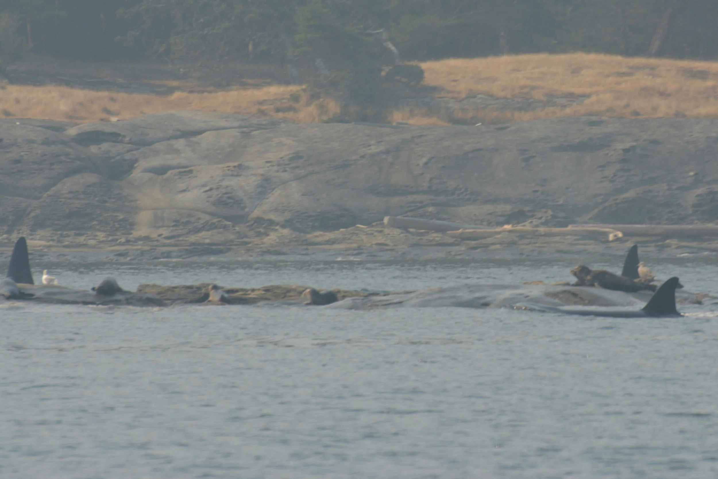 Hunting grounds. Photo by Val Watson.