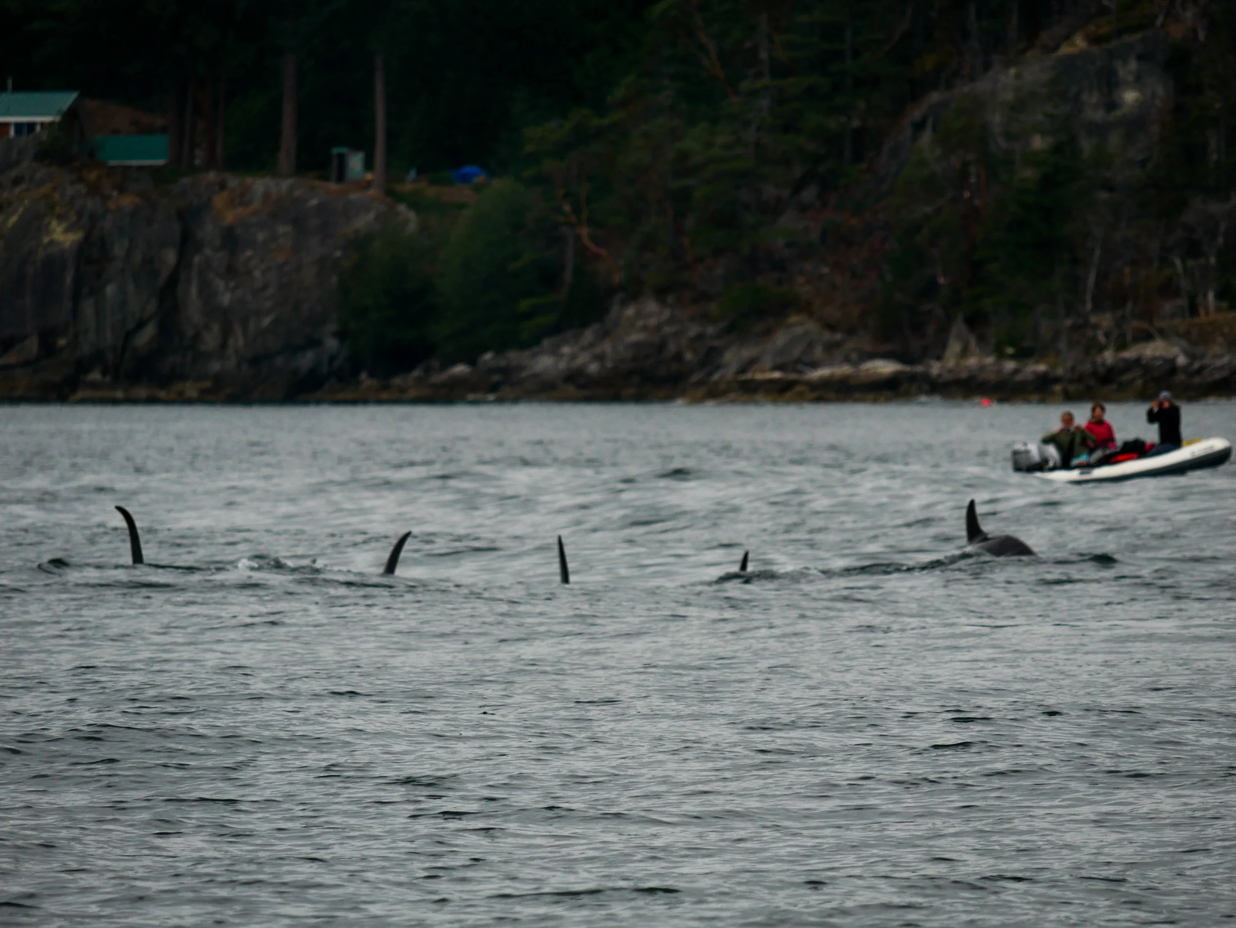 All of T90 and T87 side by side. Photo by Alanna Vivani - 3:30 tour.