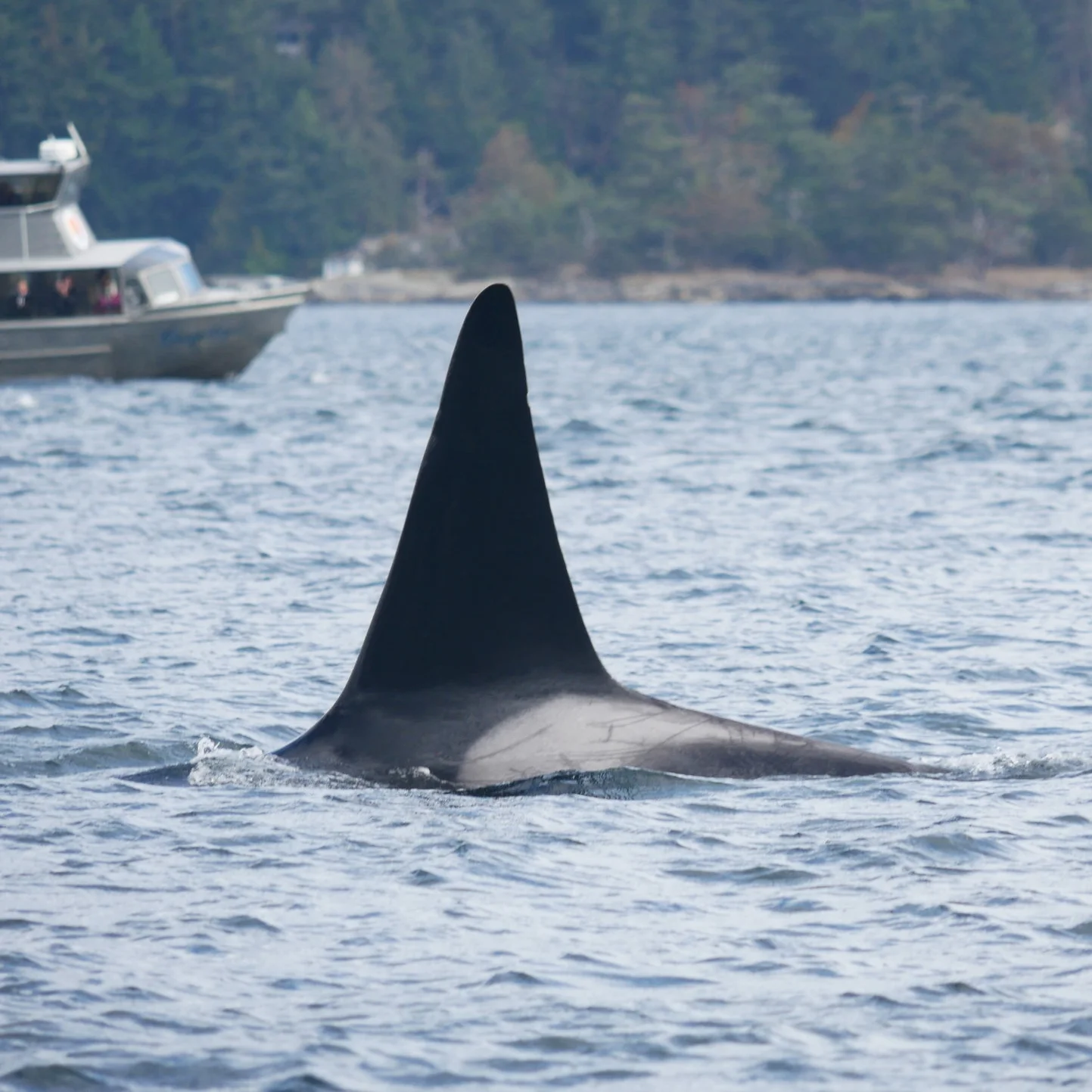 September 16, 2018 - The T18's in the Gulf Islands