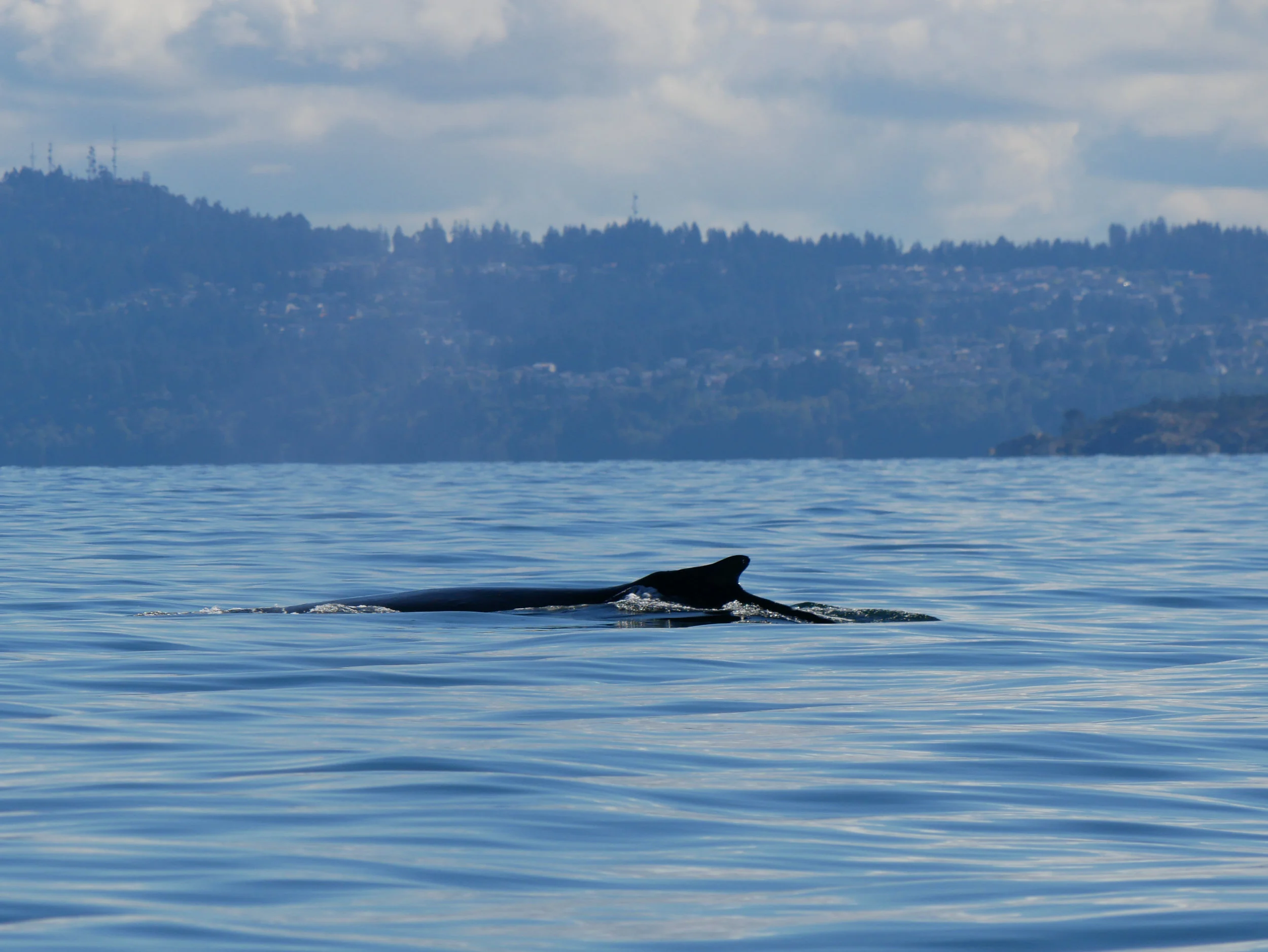 P1320575-2.jpg
