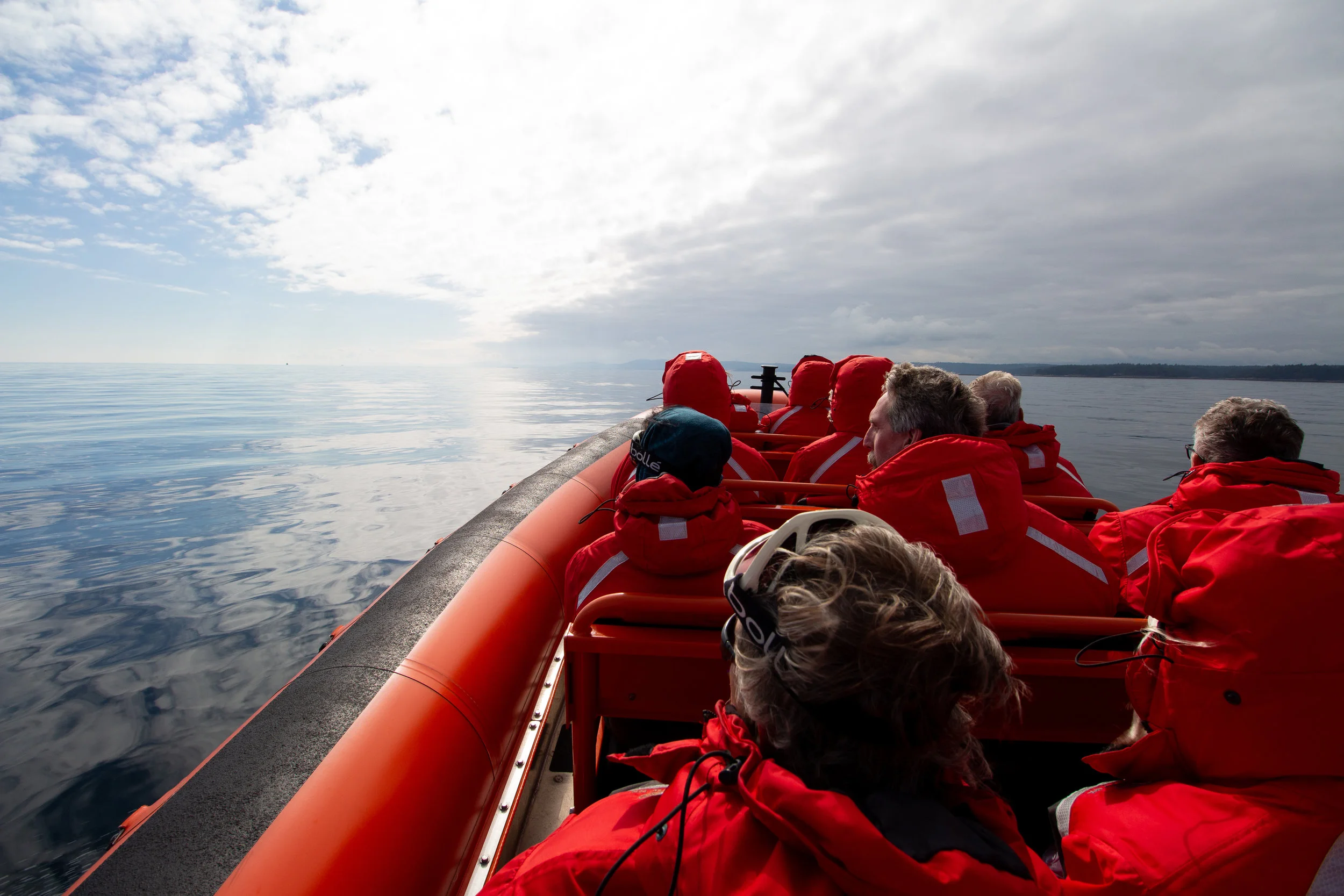 Scanning the Strait. Photo by Natalie Reichenbacher
