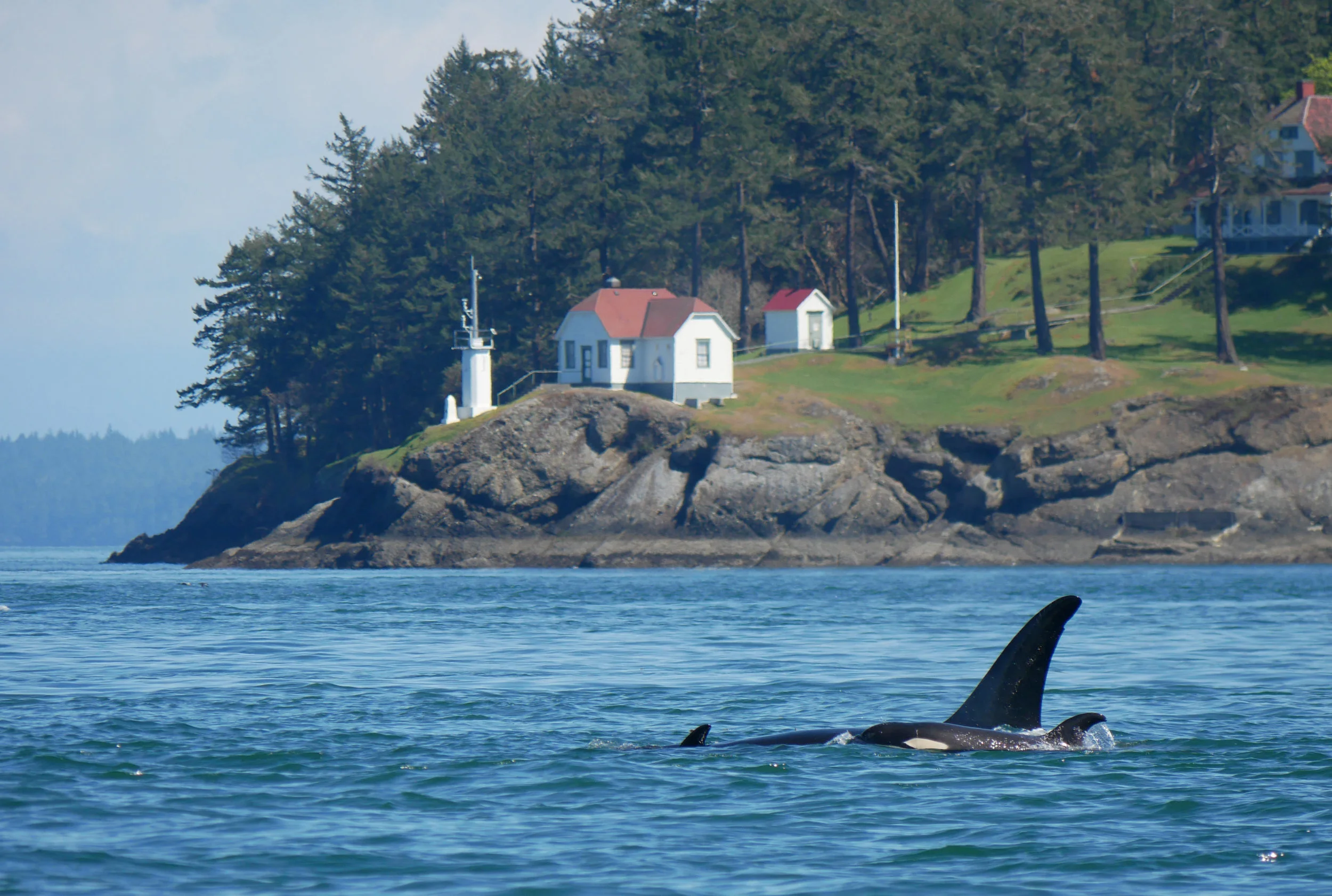 April 20, 2019 - T65A Family at Turn Point