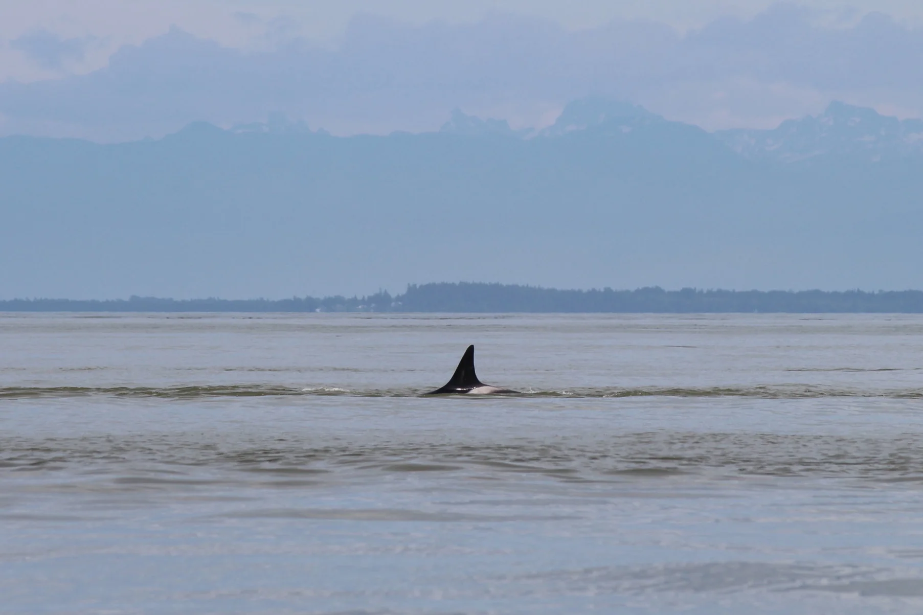 Even though the boys are bigger, mom is in charge! Photo by Natalie Reichenbacher