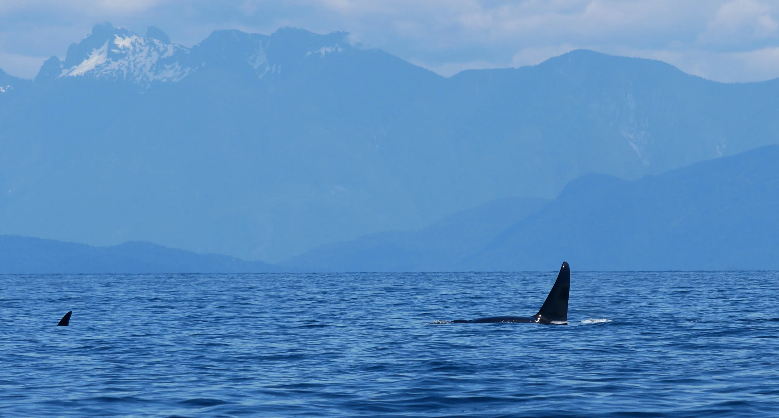 Photo by Cheyenne Brewster.