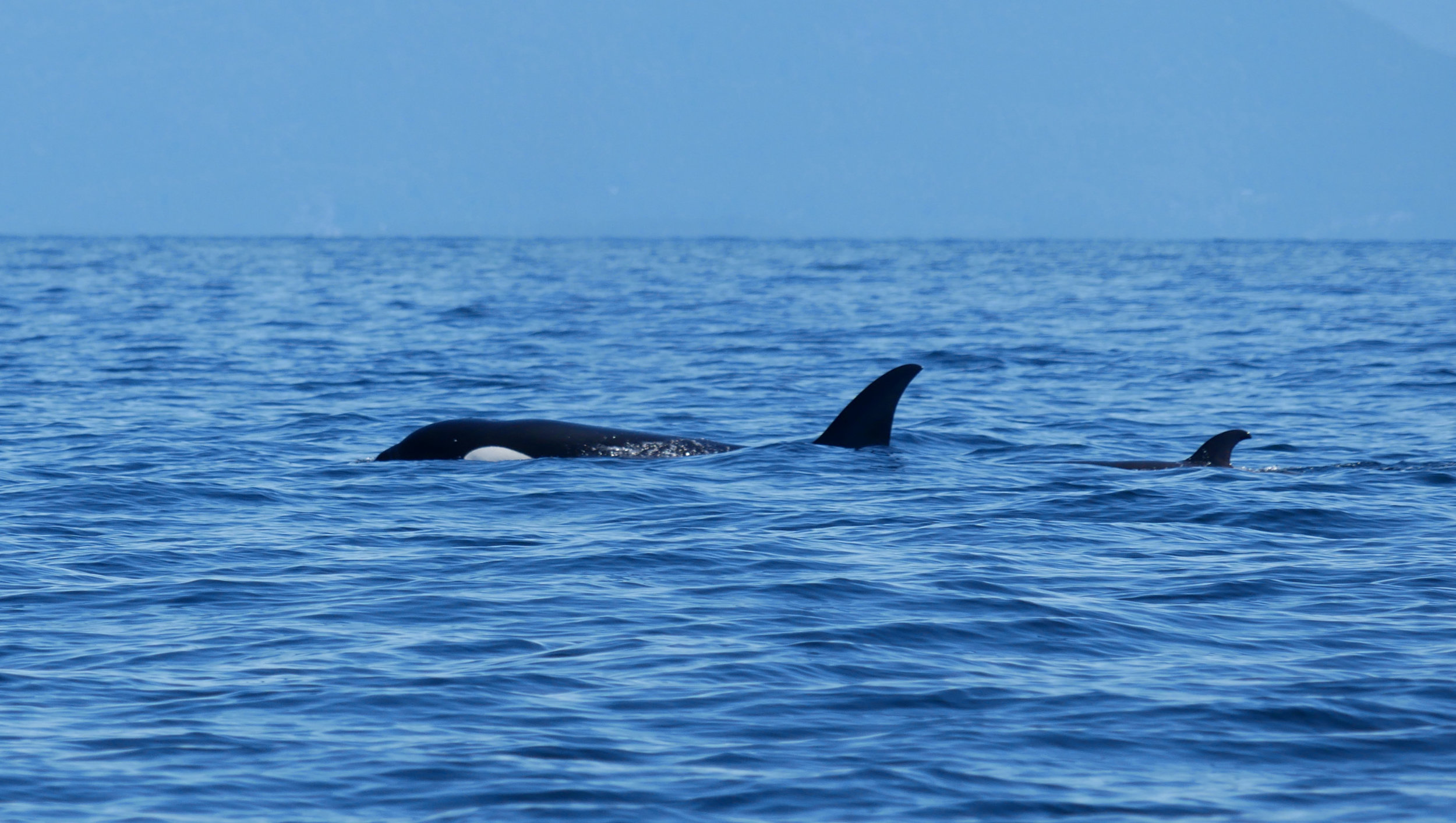 Photo by Cheyenne Brewster.