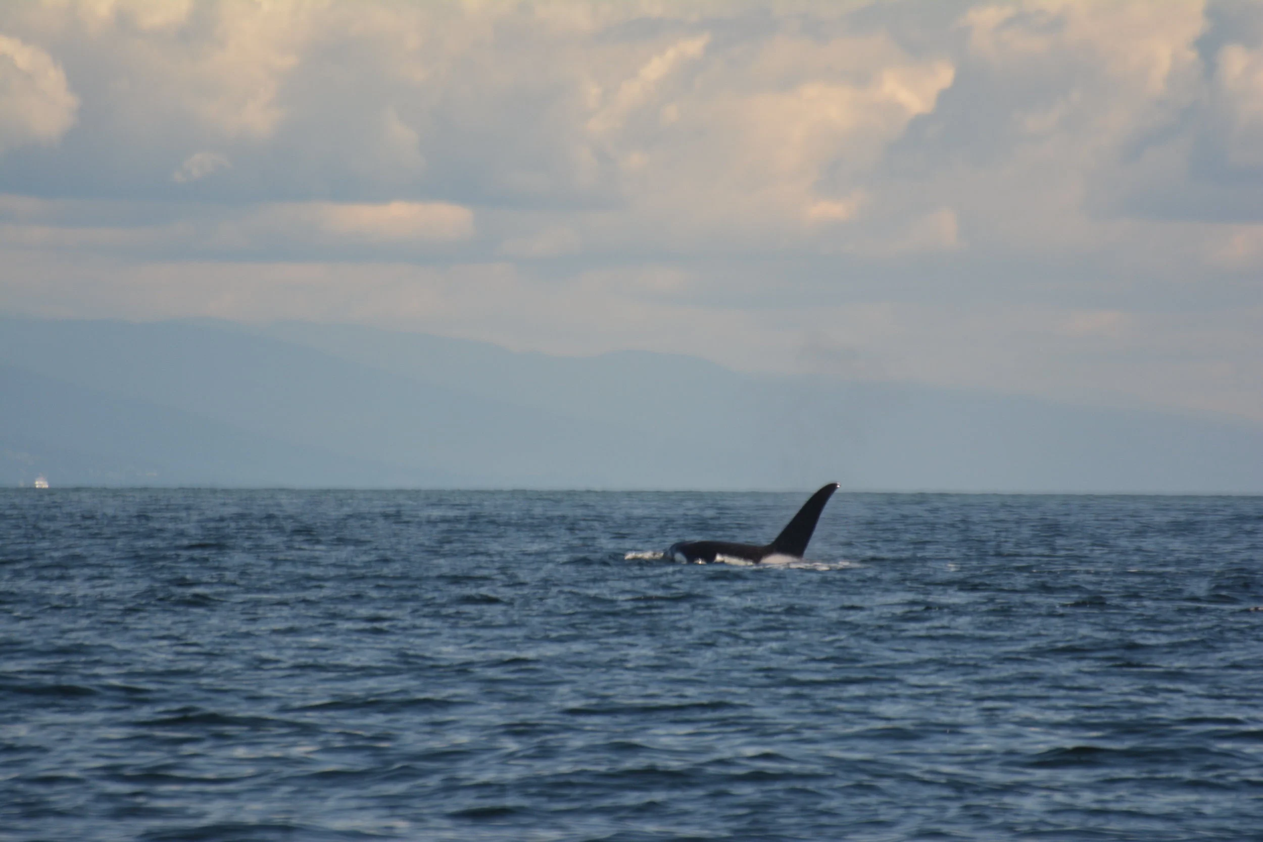 Photo by Rodrigo Menezes.