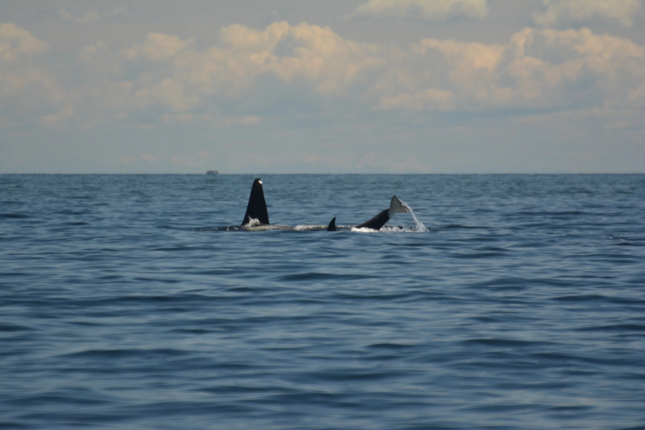 Photo by Rodrigo Menezes.