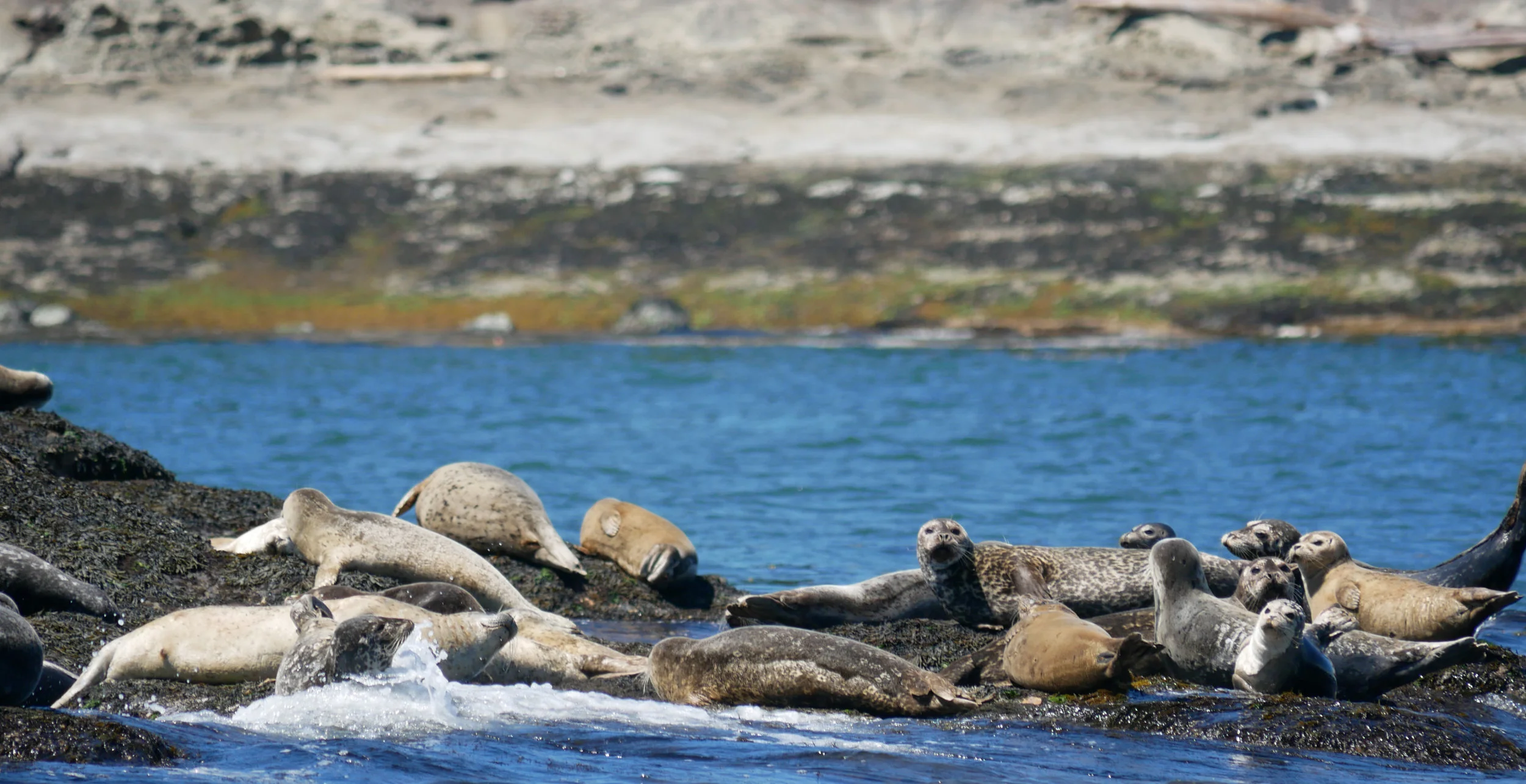 Gotta watch out for rouge waves! Photo by Cheyenne Brewster.