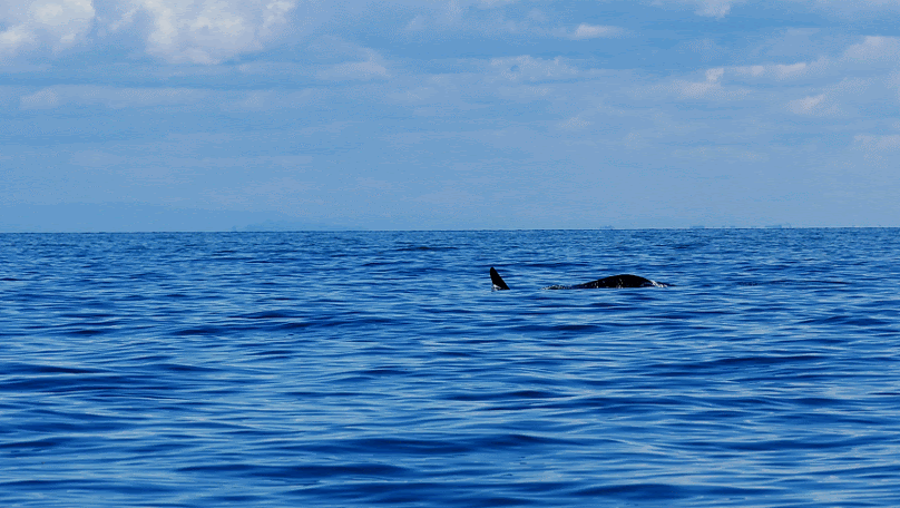 Little bit of splashing action! Photo by Cheyenne Brewster.