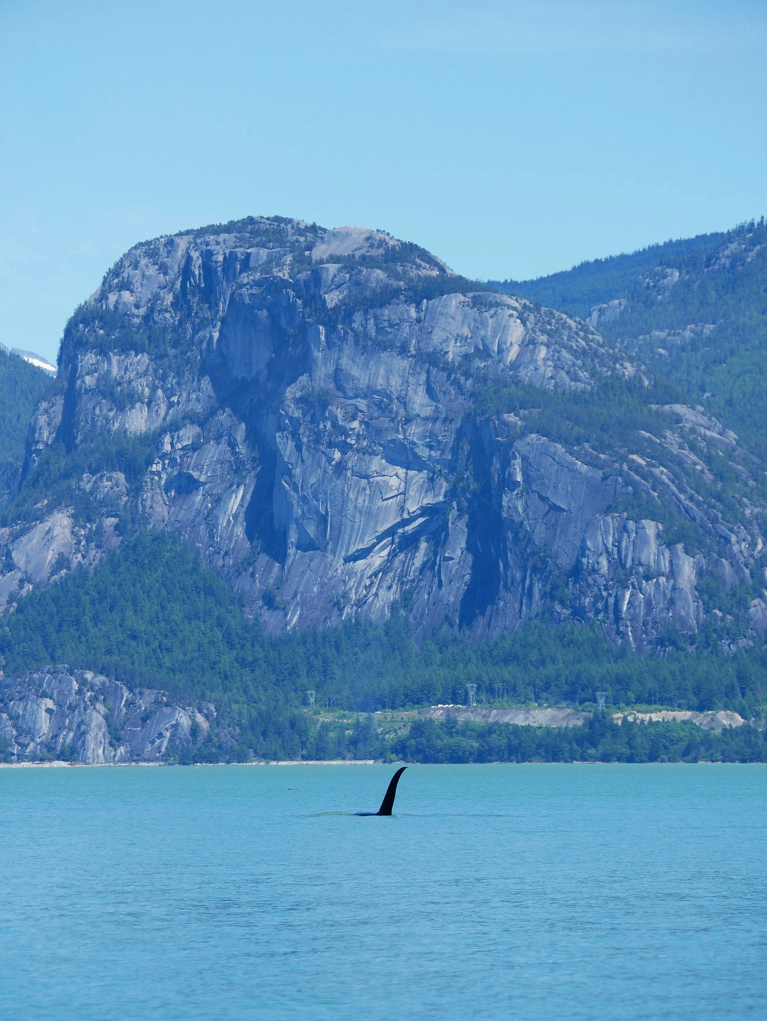 Beardslee (T102) in front of Stawamus Chief mountain. Photo by Val Watson.