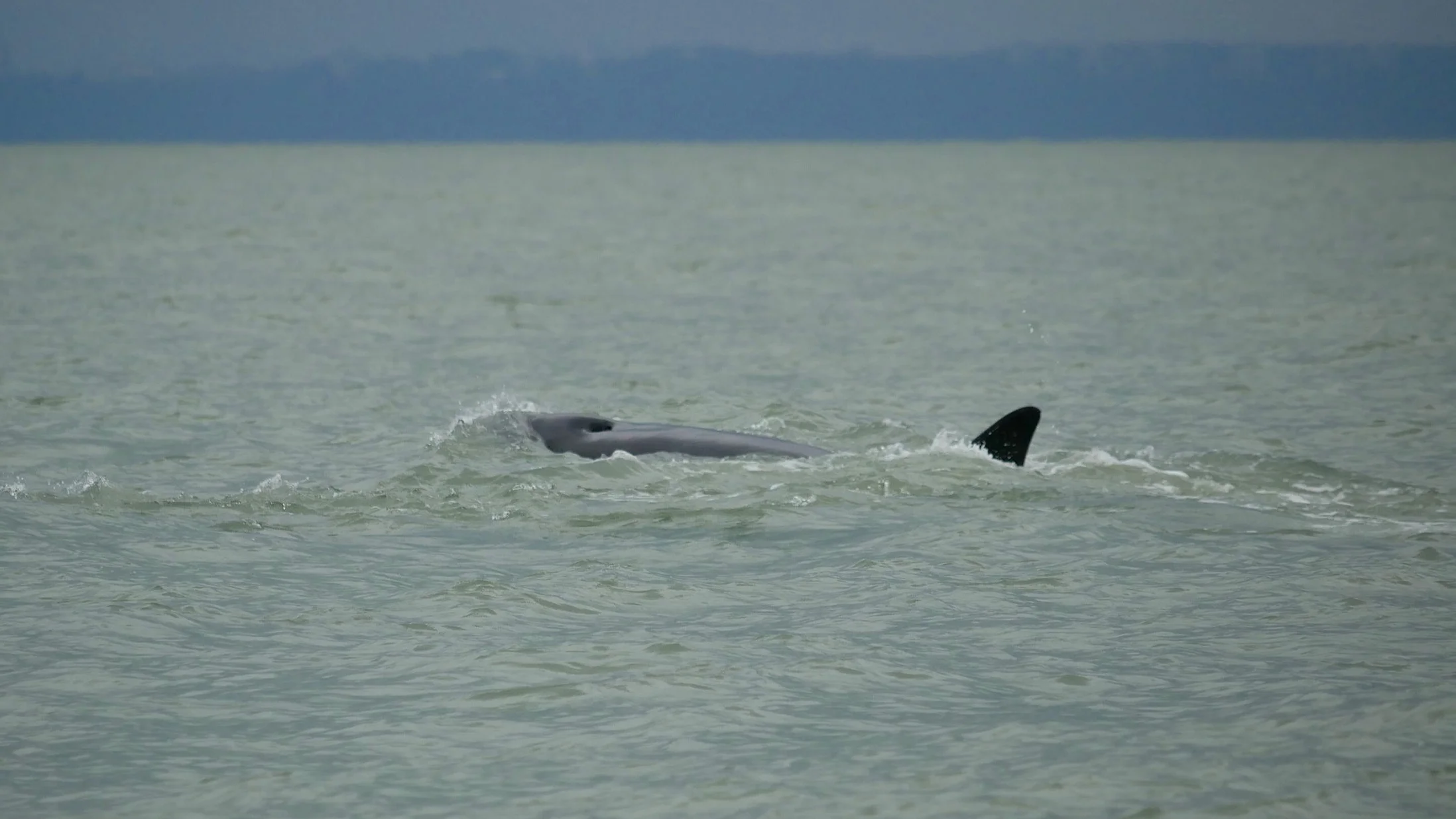 Cruising along. Photo By Cheyenne Brewster (3:30).