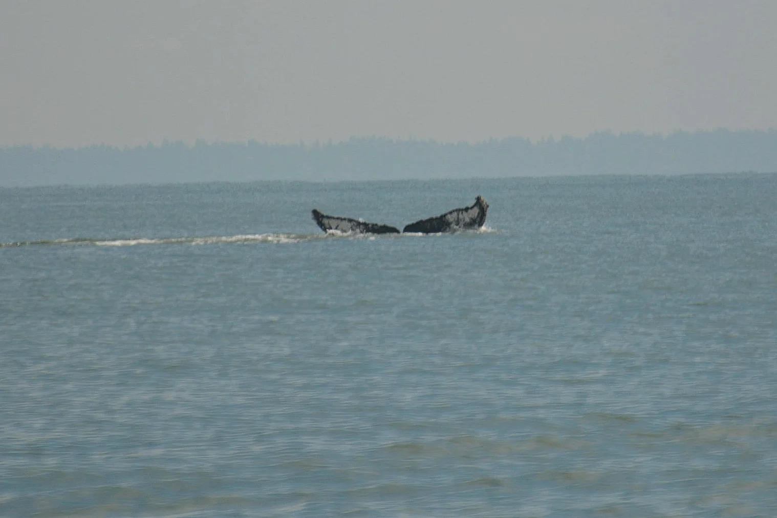 Photo by Rebeka Pirker