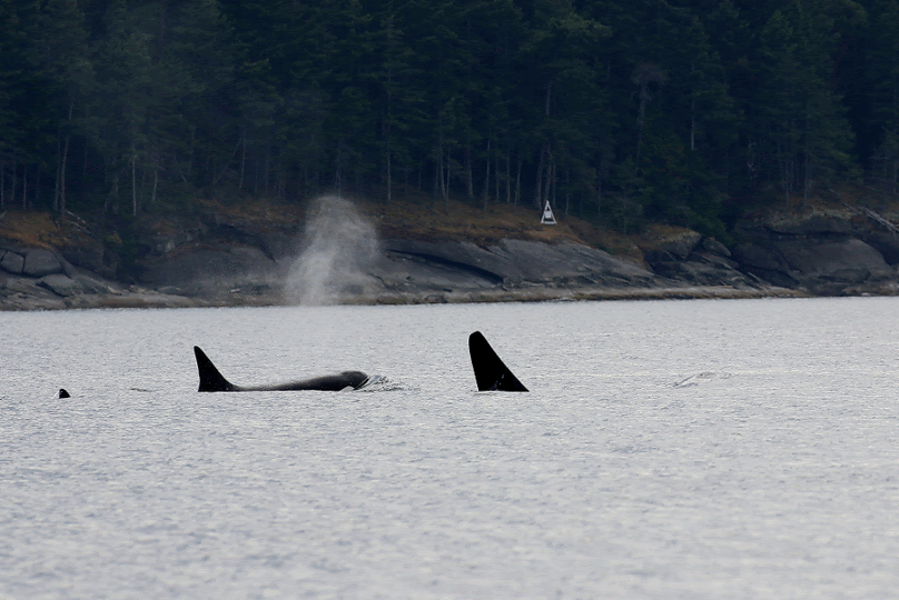 Photo by Val Watson (3:30).