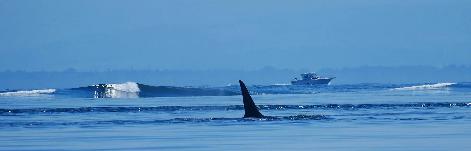 The Church, T77B, getting ready to ride a wave from a tanker. Photo by Rebeka Pirker. (10.30)