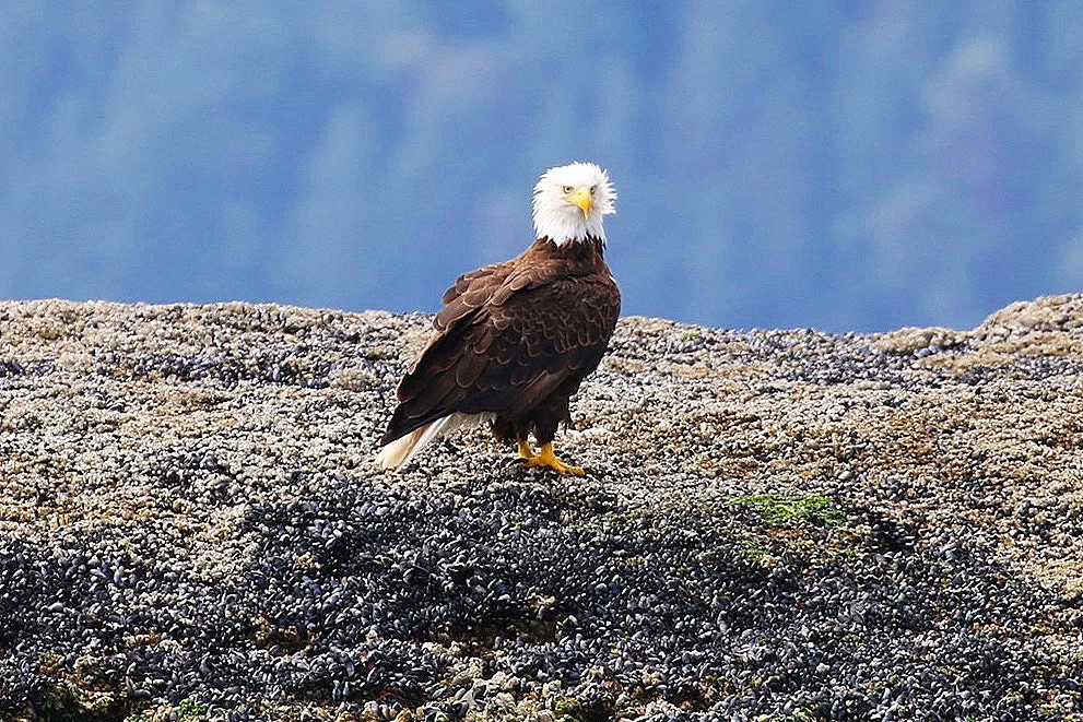 Photo by Val Watson (10:30).