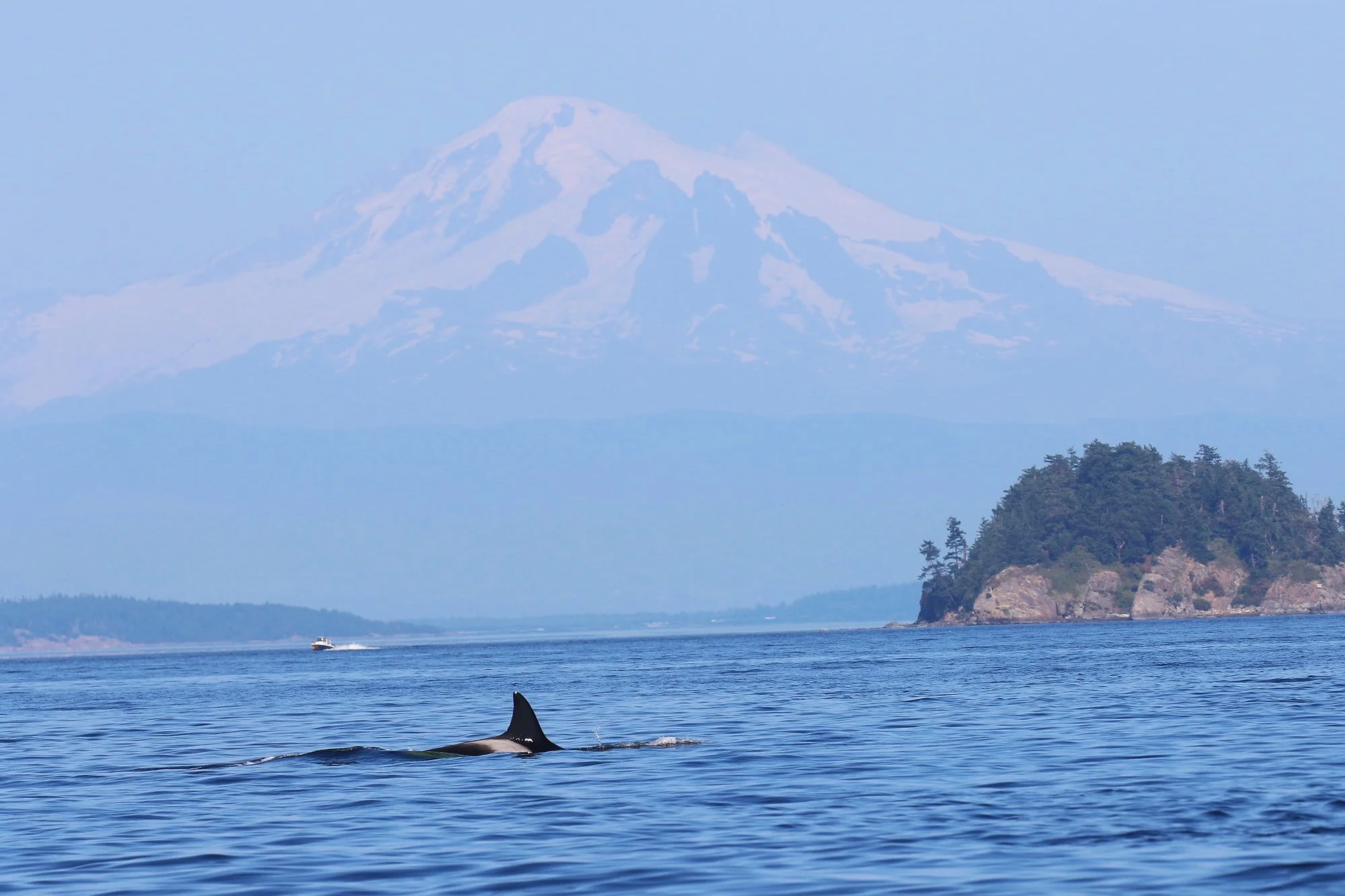 T18, Esperanza, Mt. Baker looming in the background. Photo by Ryan Uslu (3.30)